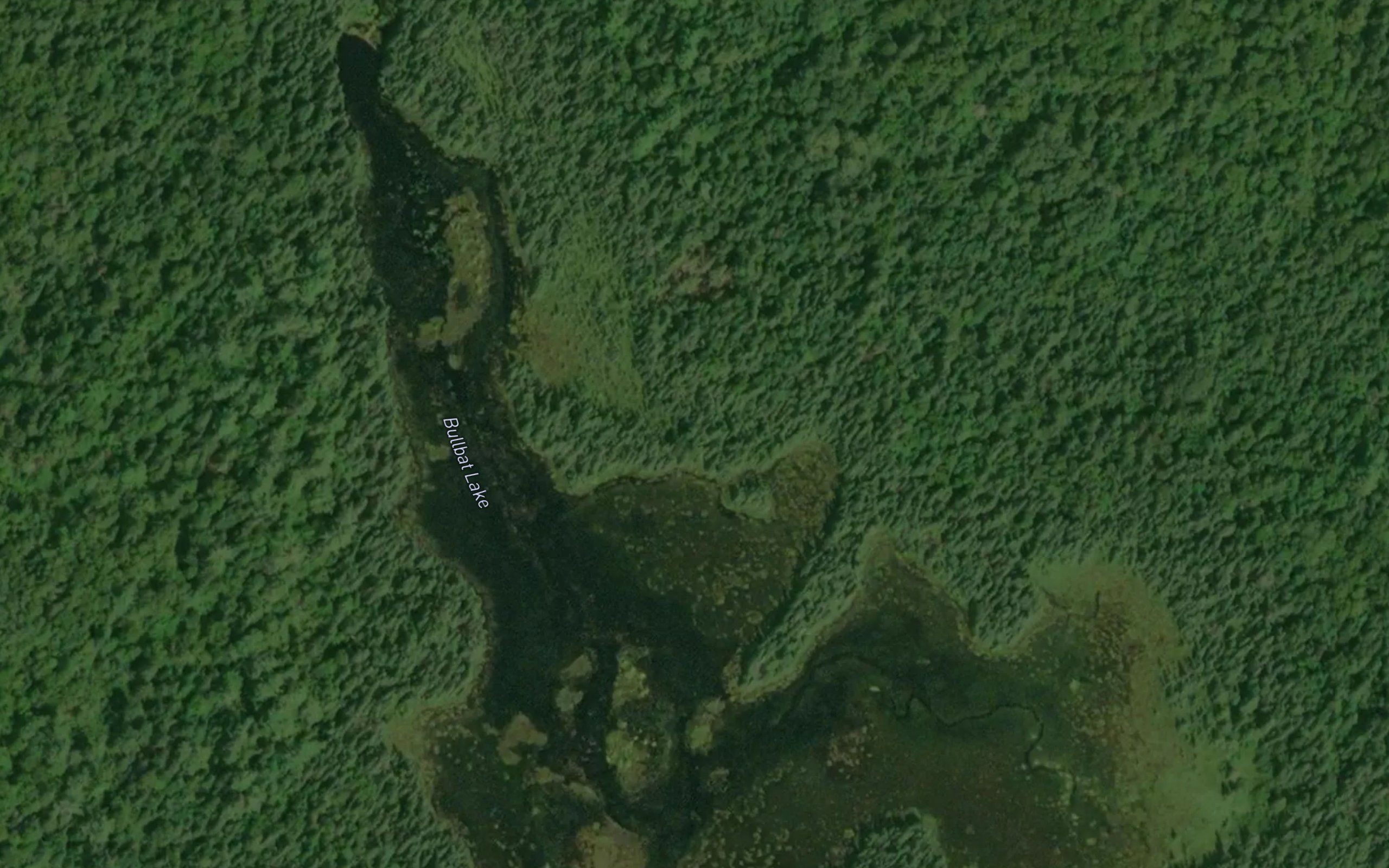 Bullbat Lake