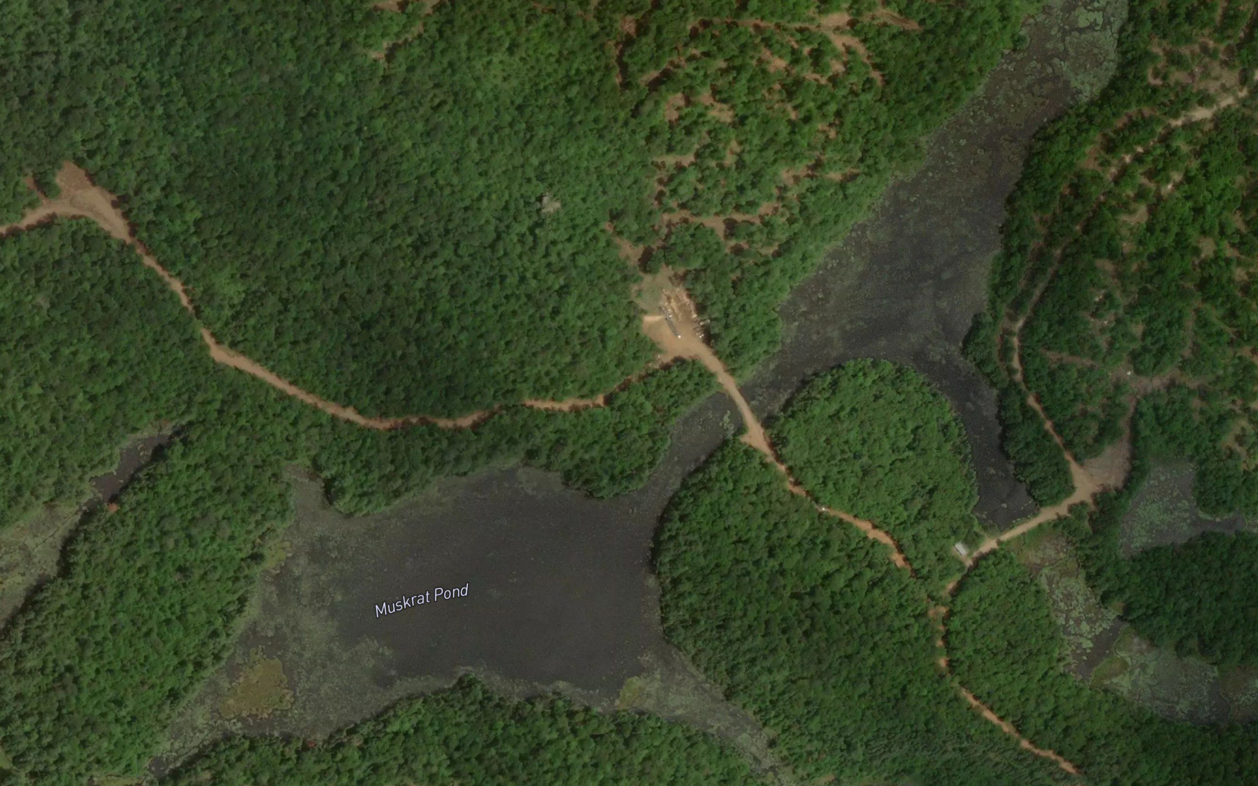 Muskrat Pond