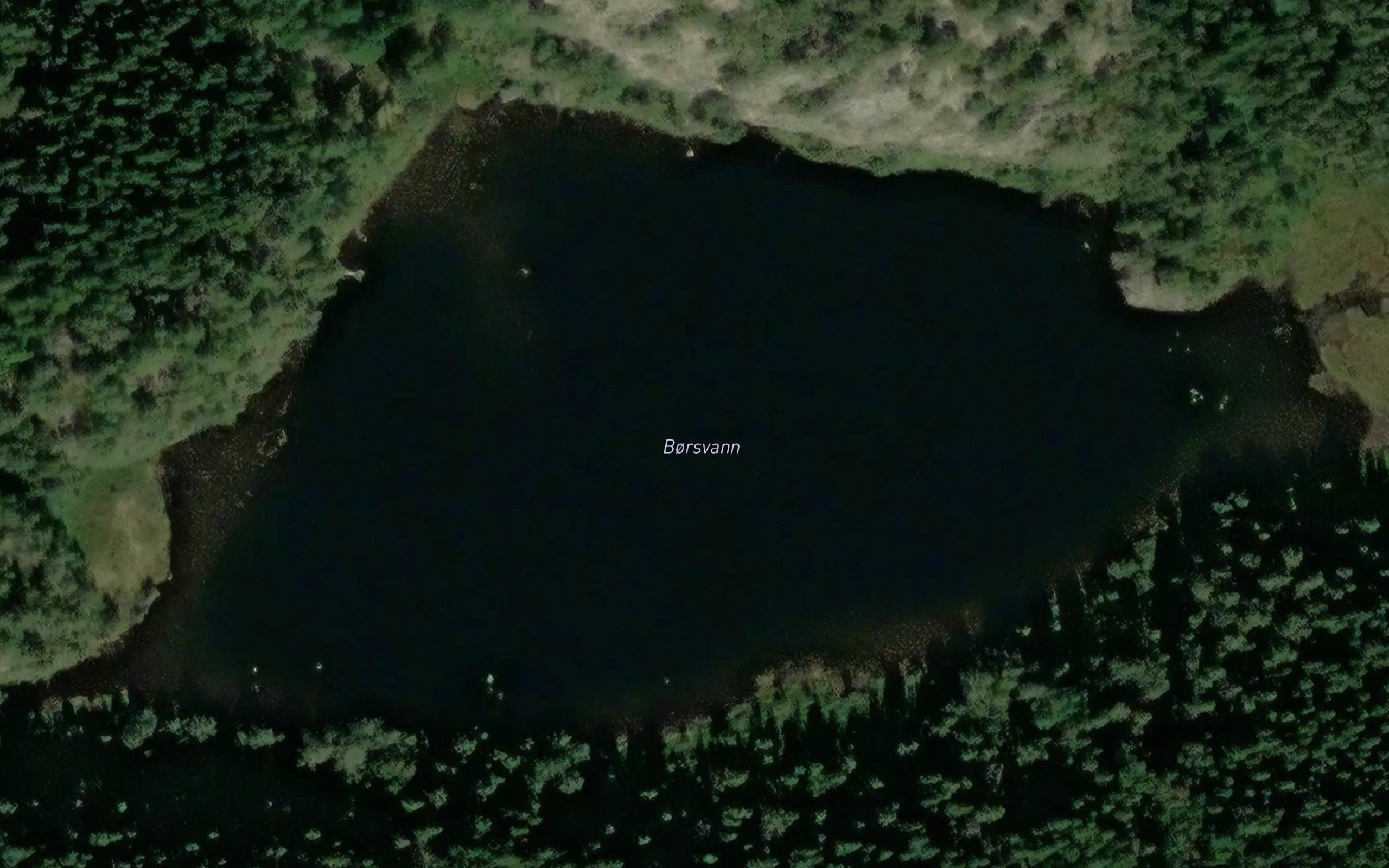 Borsvann