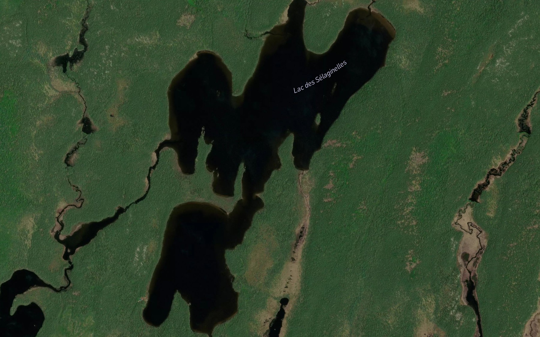 Satellite map of the Lac des Selaginelles