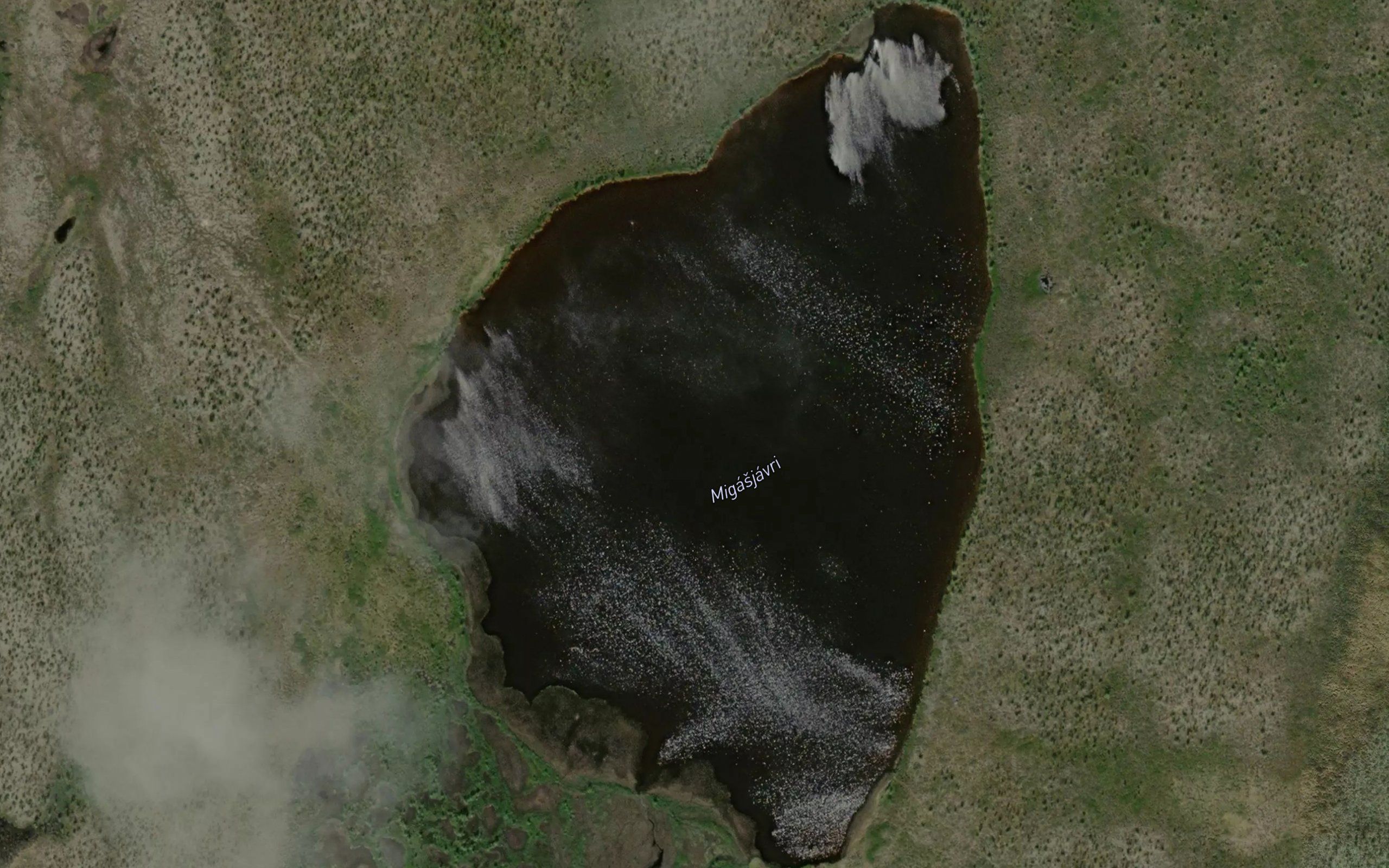 Migasjavri