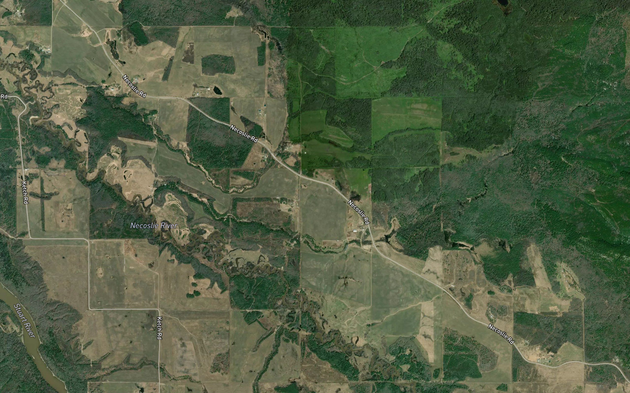 Cranberry Creek