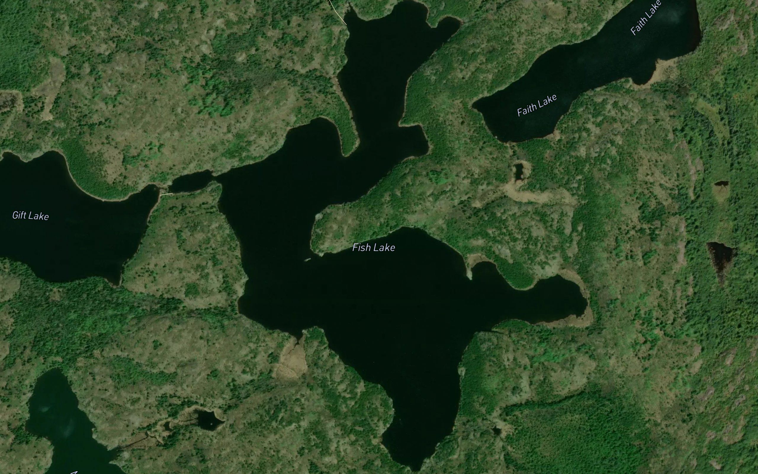 Fish Lake