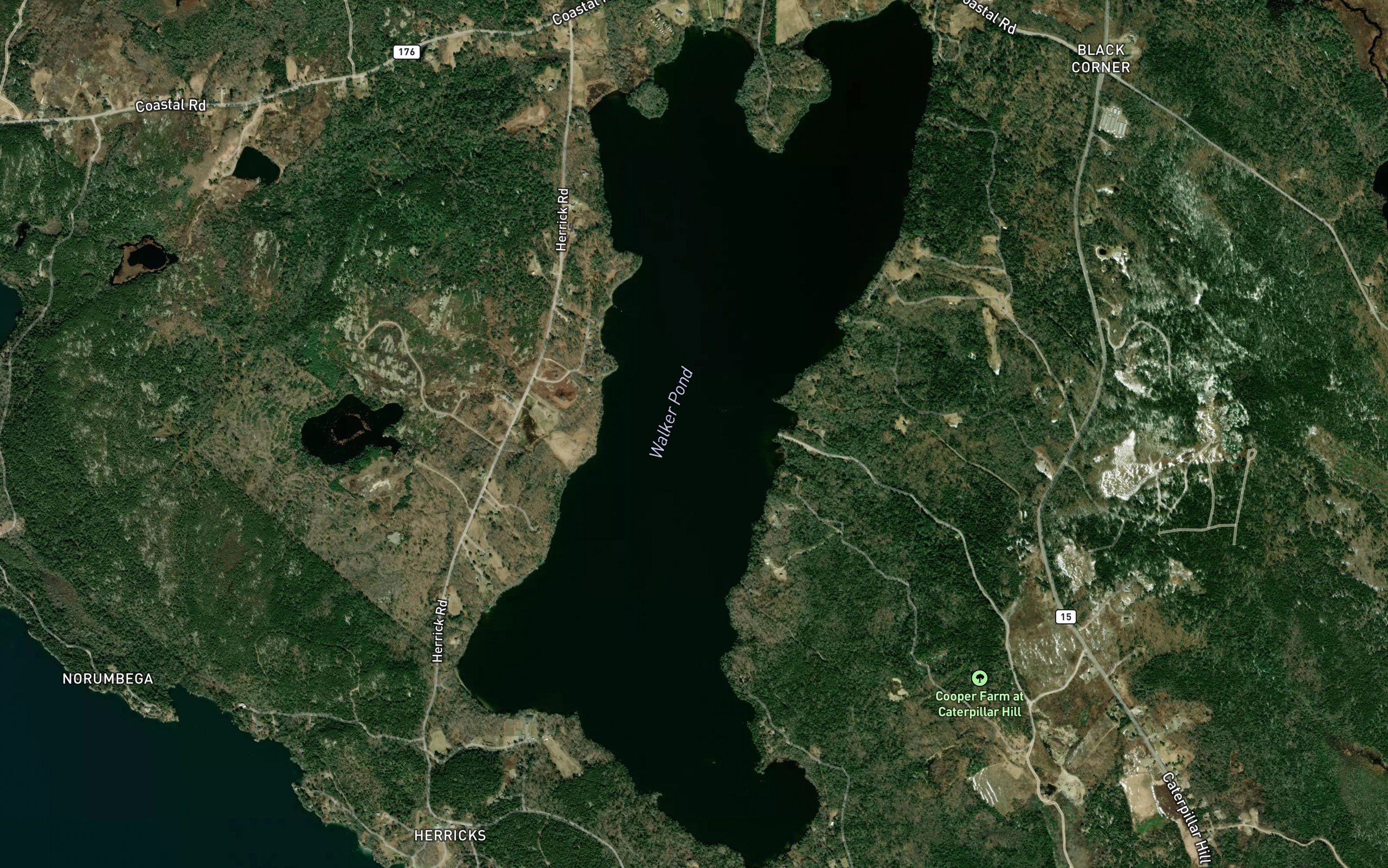 Walker Pond