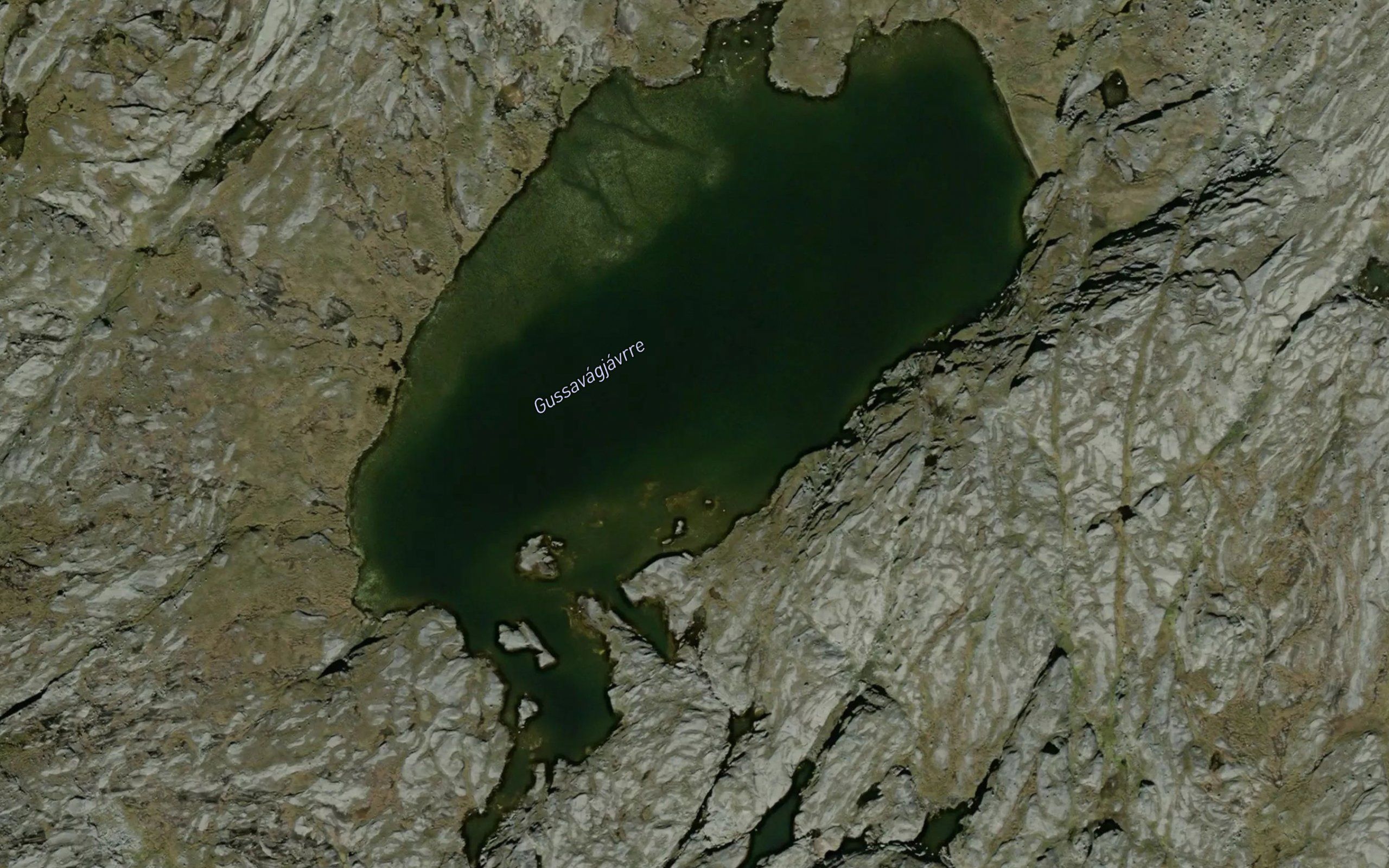 Gussavakkejavri