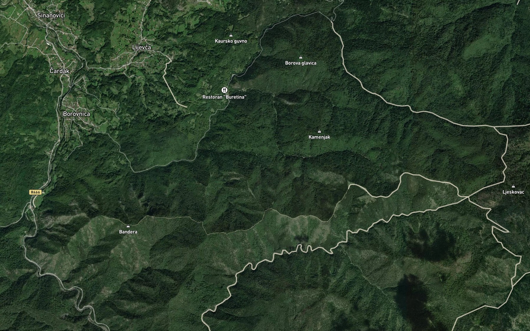 Satellite map of the Pogledalac