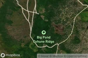 Big Pond