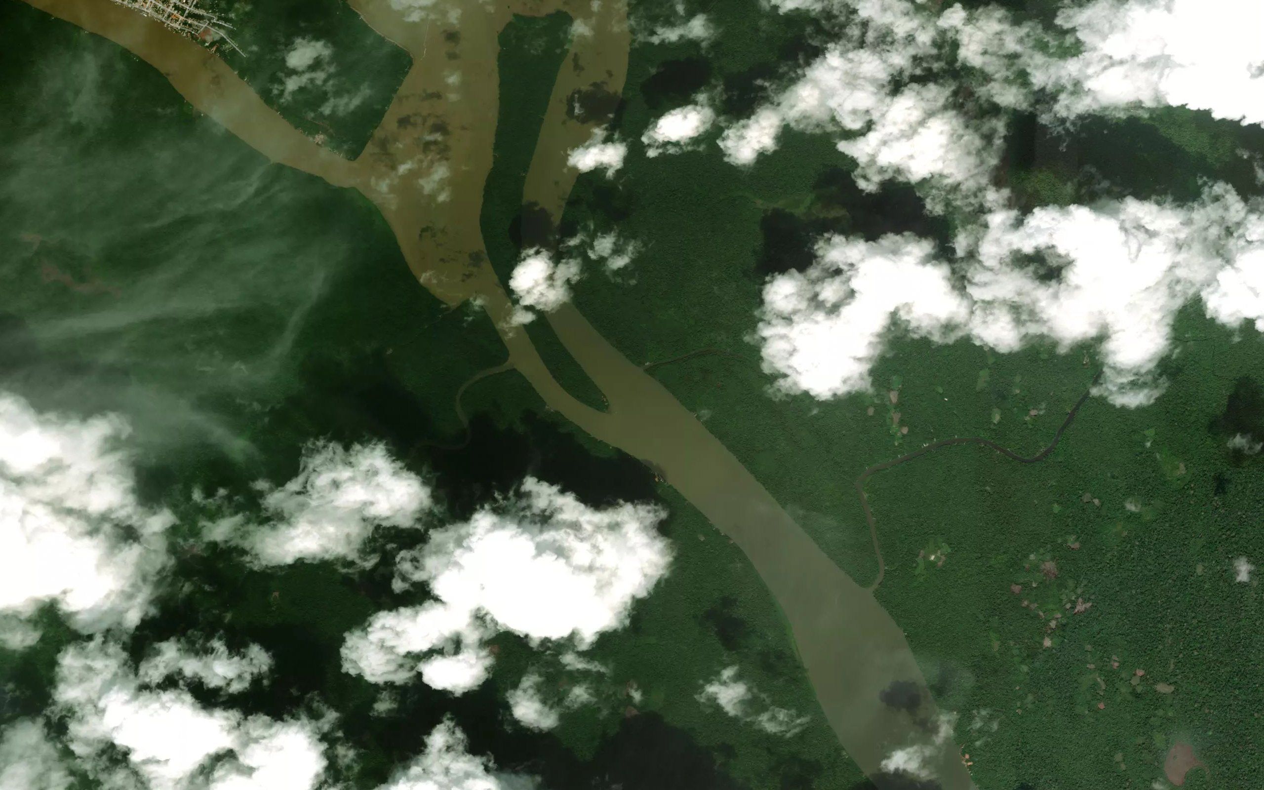 Rio Panauba