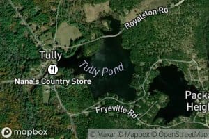 Tully Pond