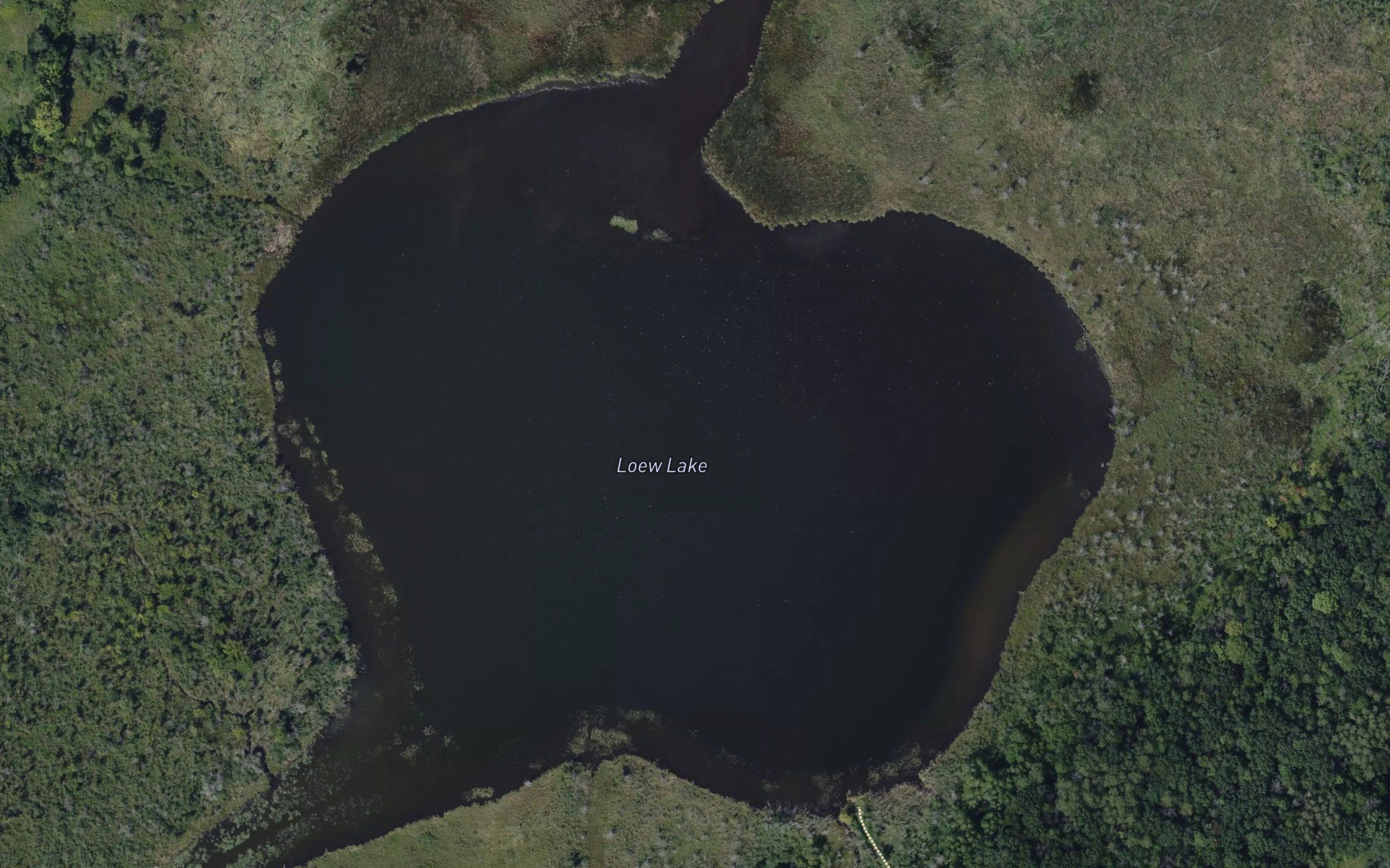 Lowes Lake