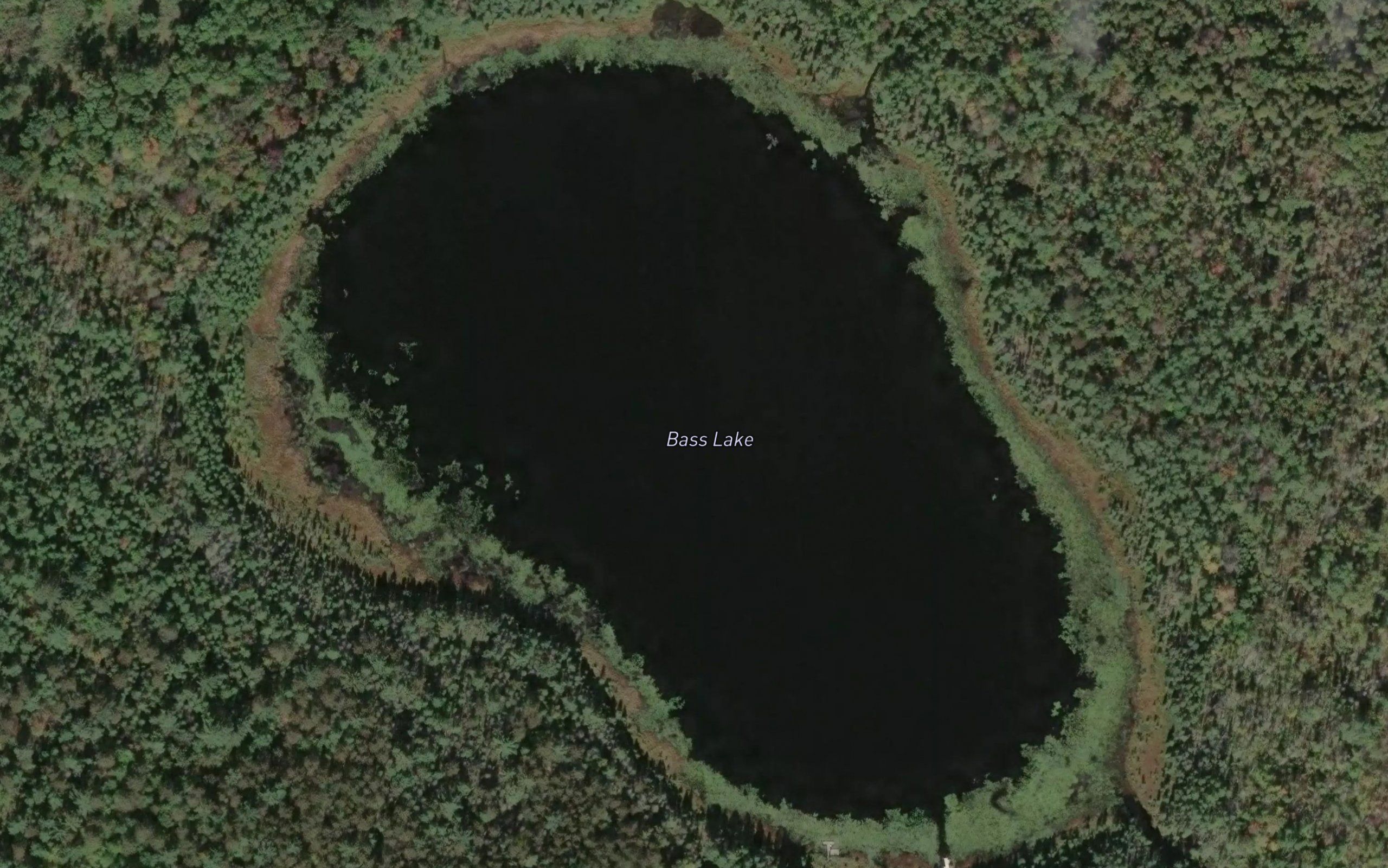 Bass Lake