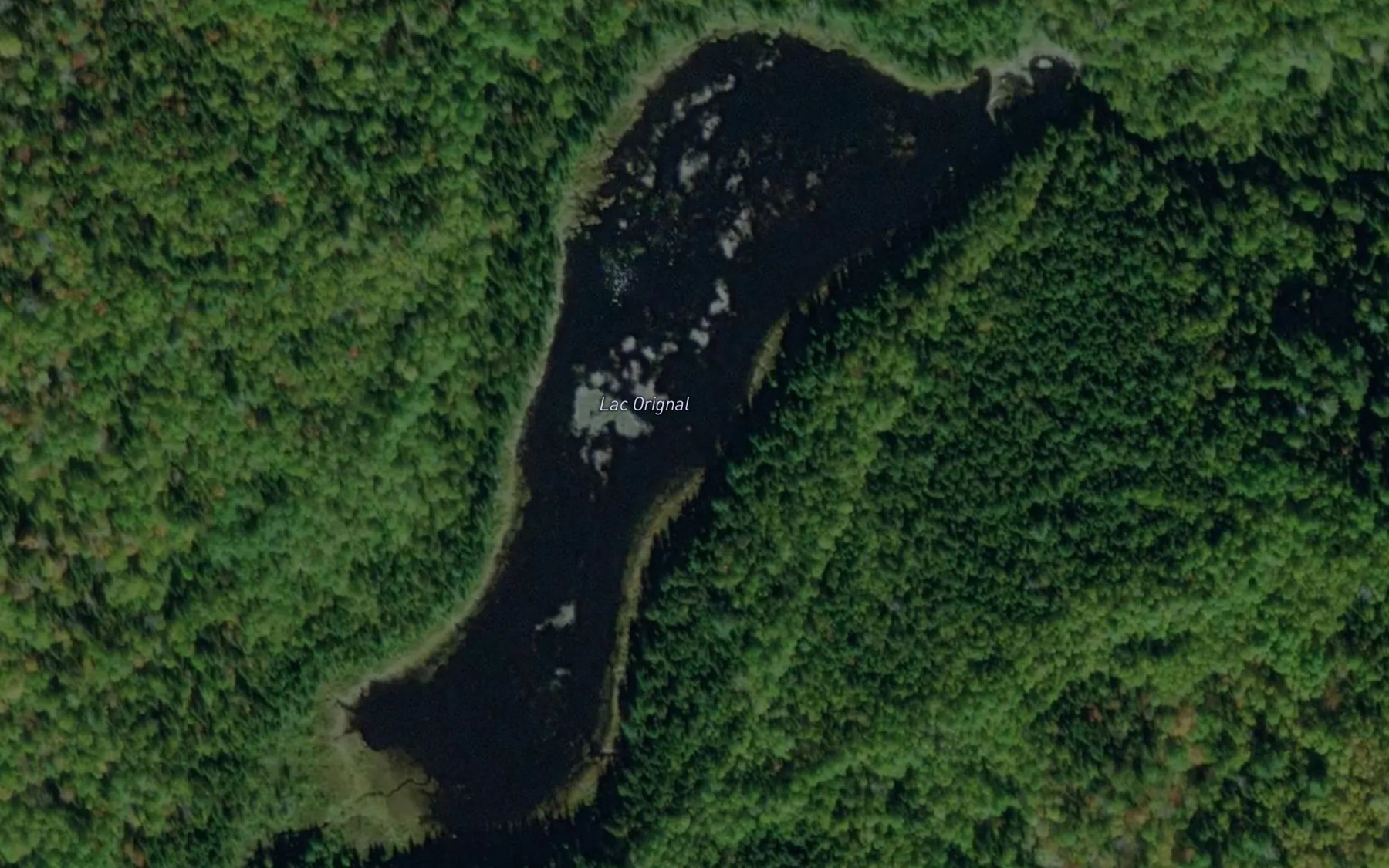 Satellite map of the Lac Orignal