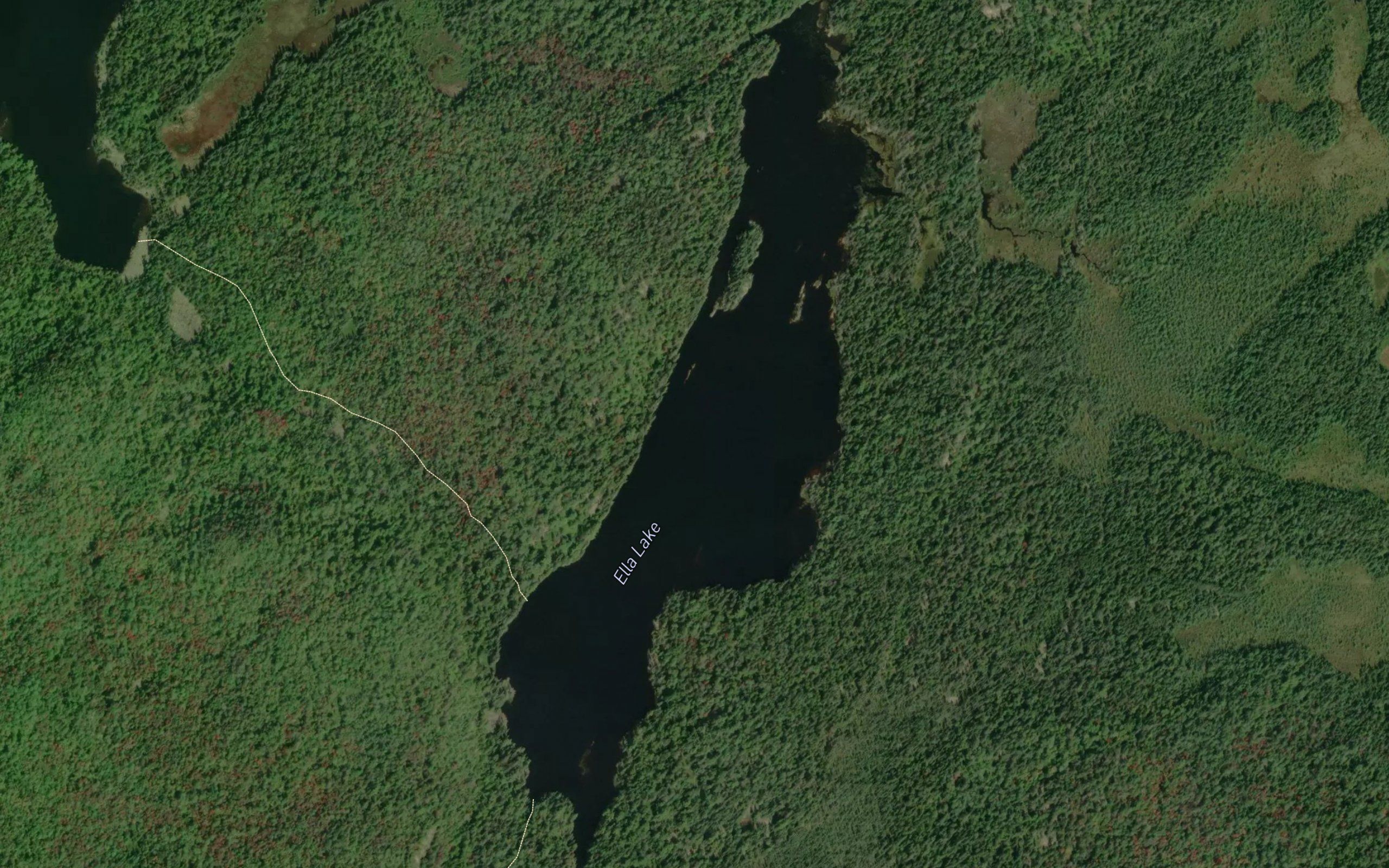 Ella Lake