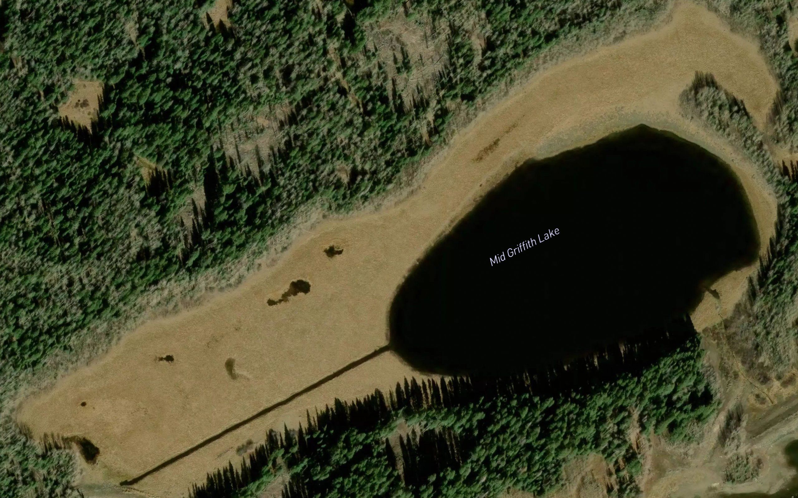 Griffith Number 1 Coon Creek 1 Reservoir