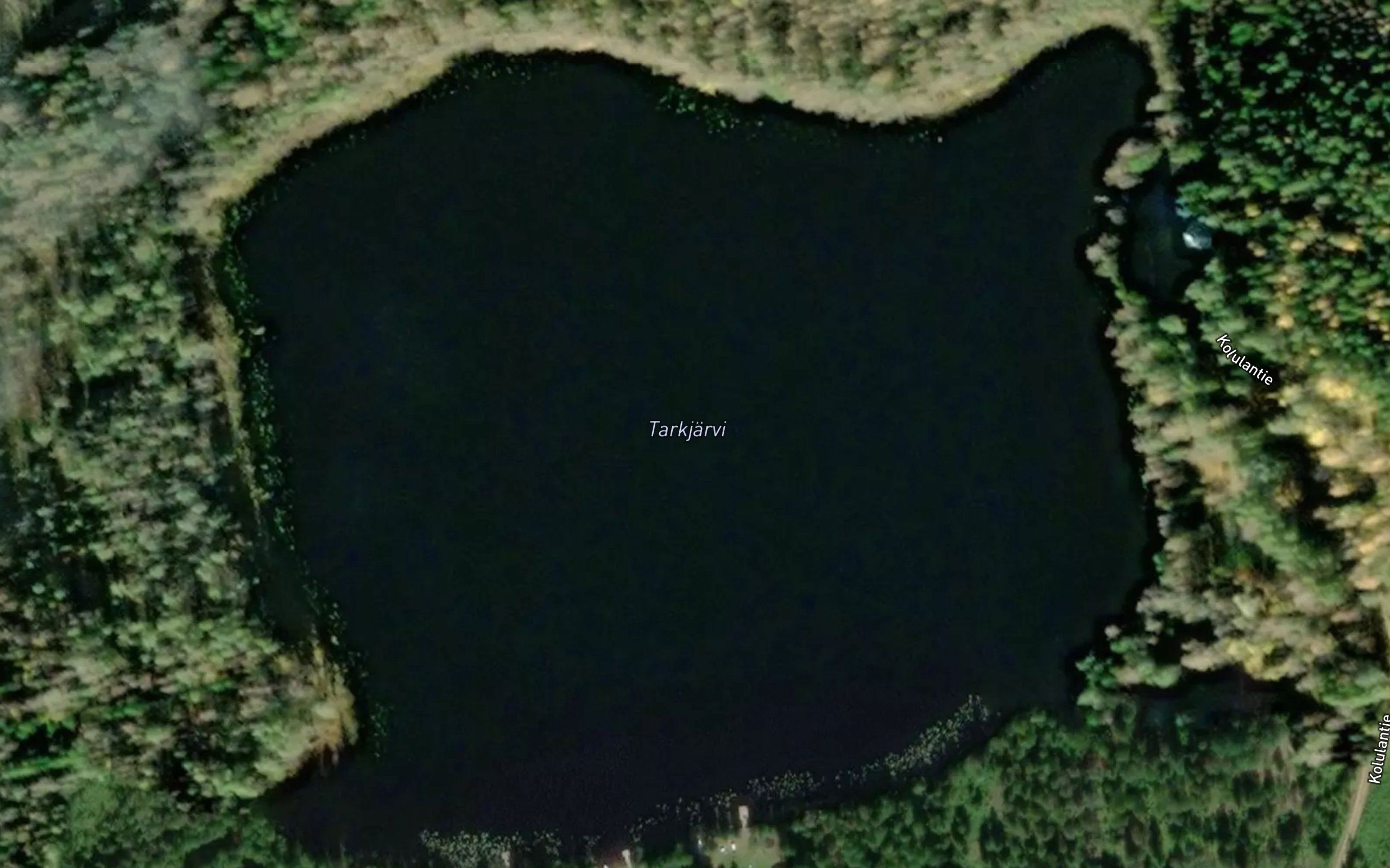 Tarkjarvi