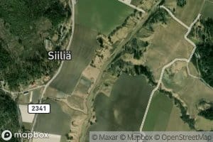 Liikoja