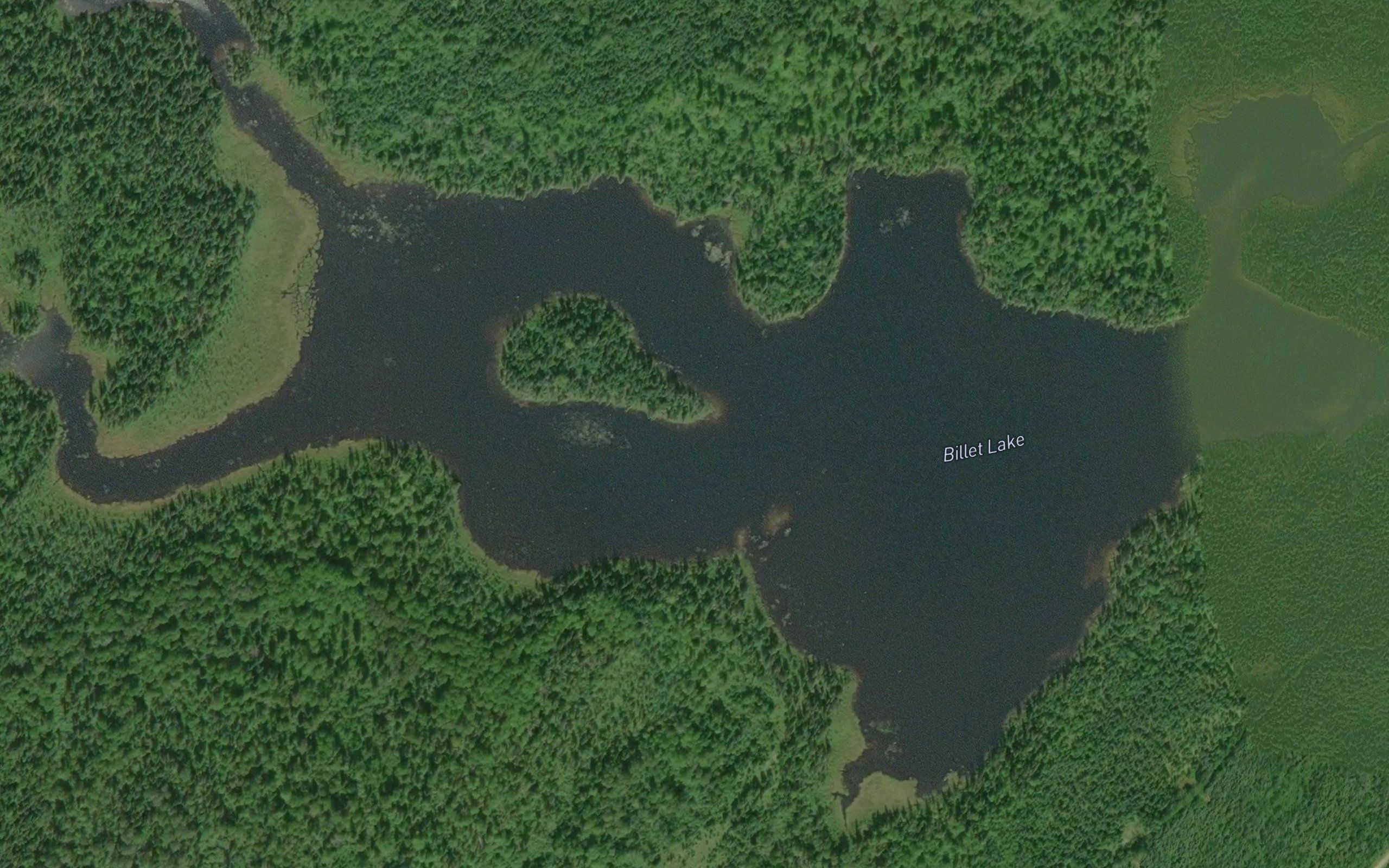 Billet Lake
