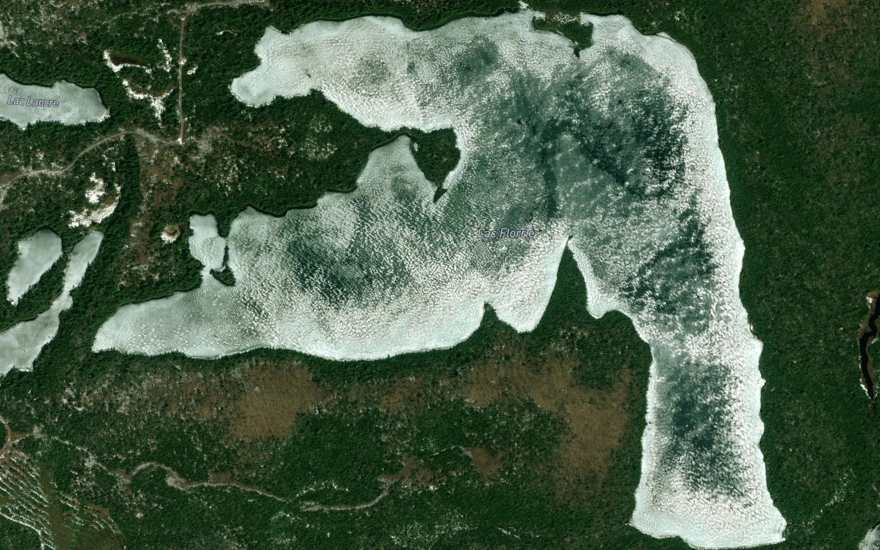 Satellite map of the Lac Florrie