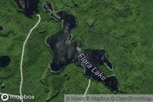 Flora Lake