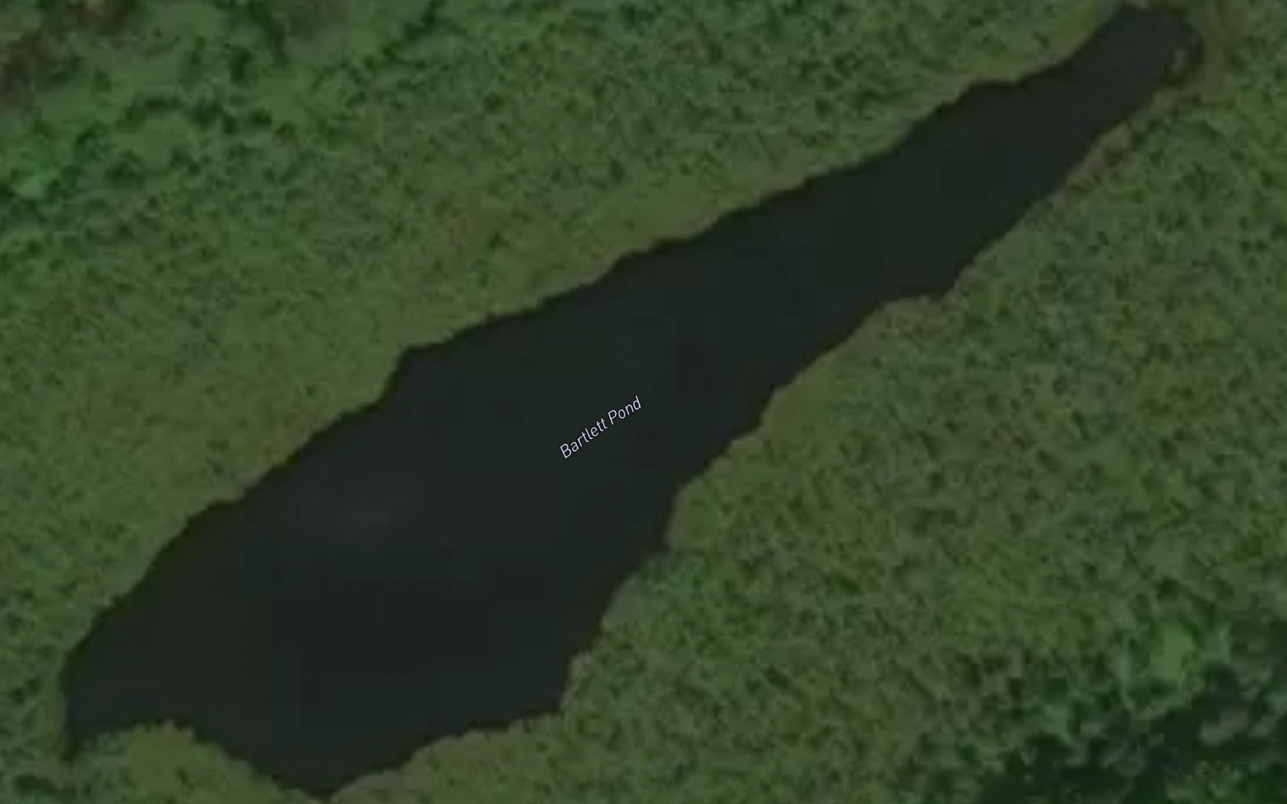 Bartlett Pond