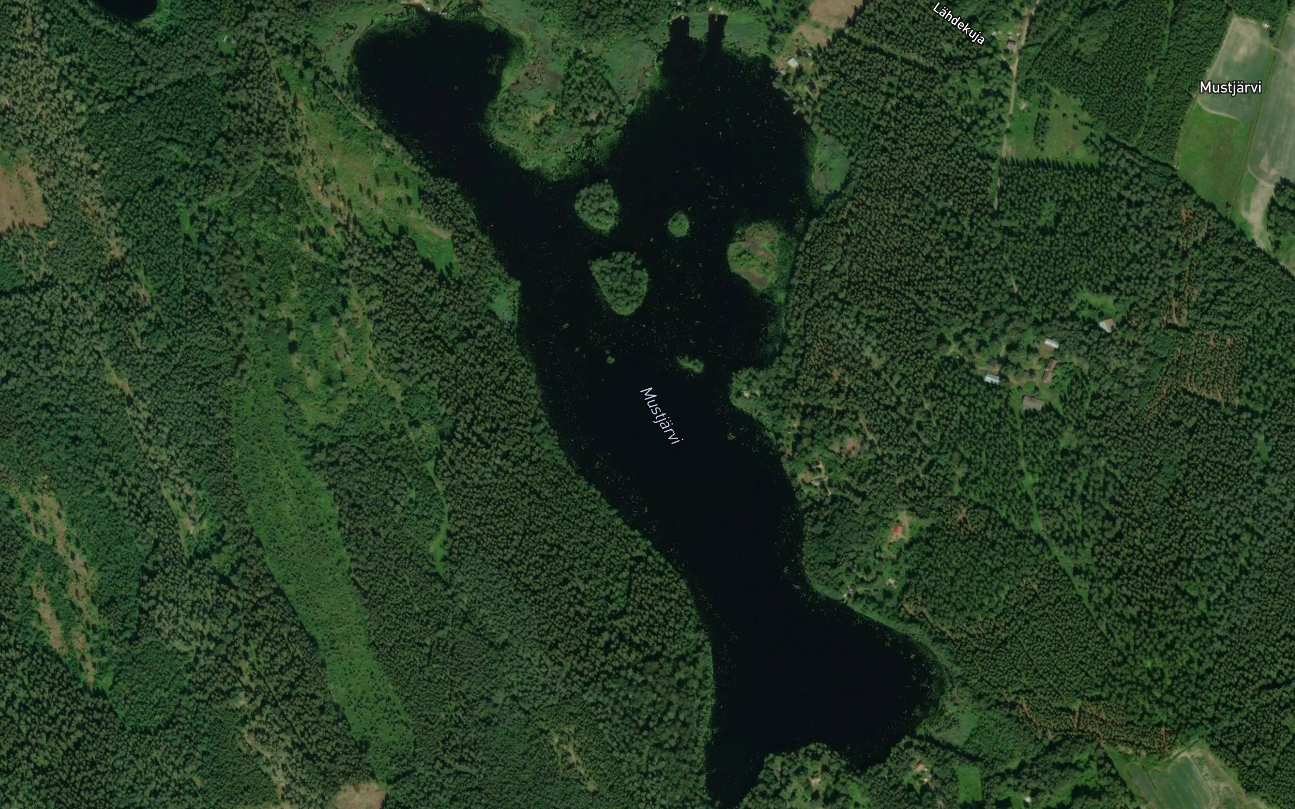 Mustjarvi