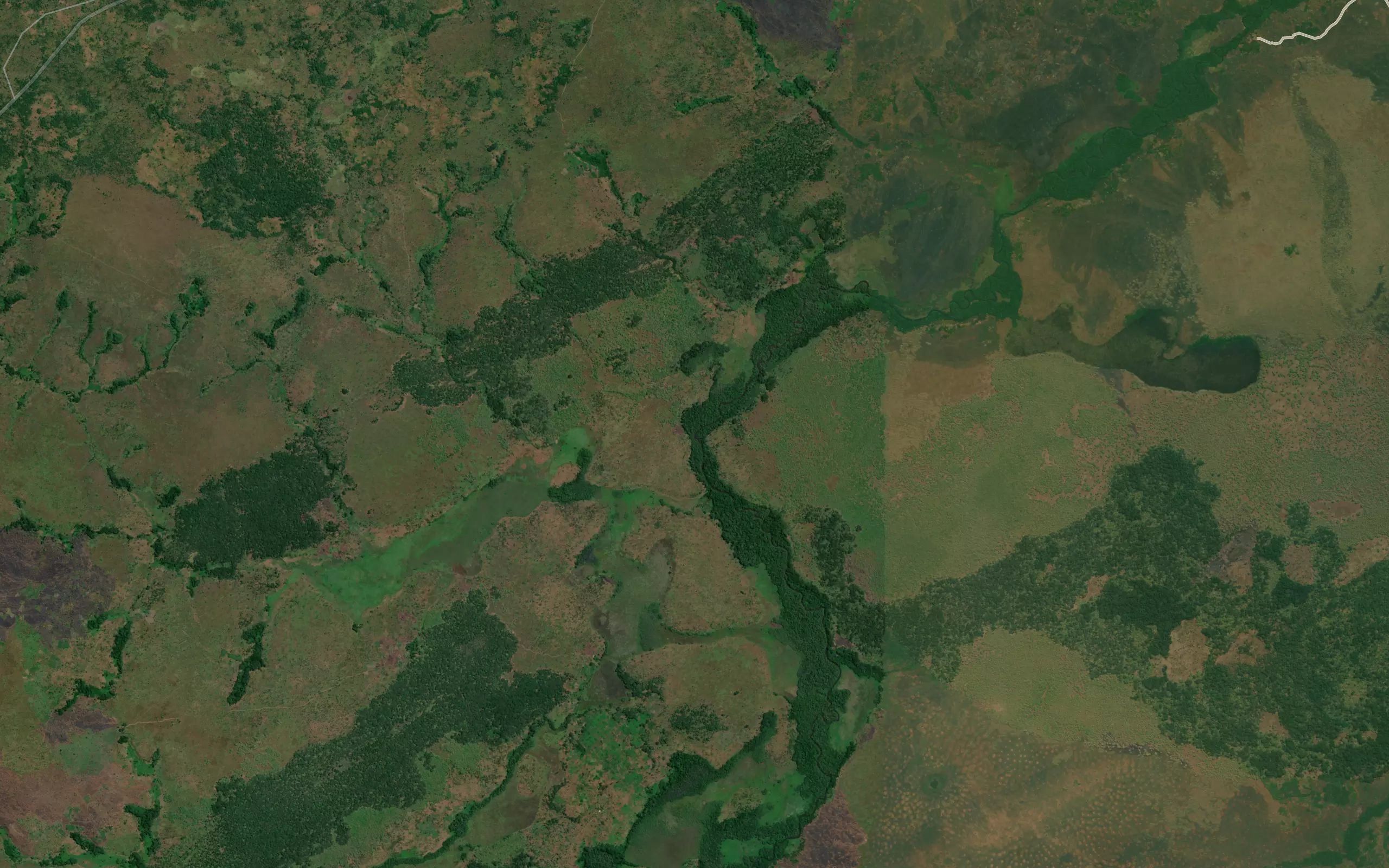 Luambo