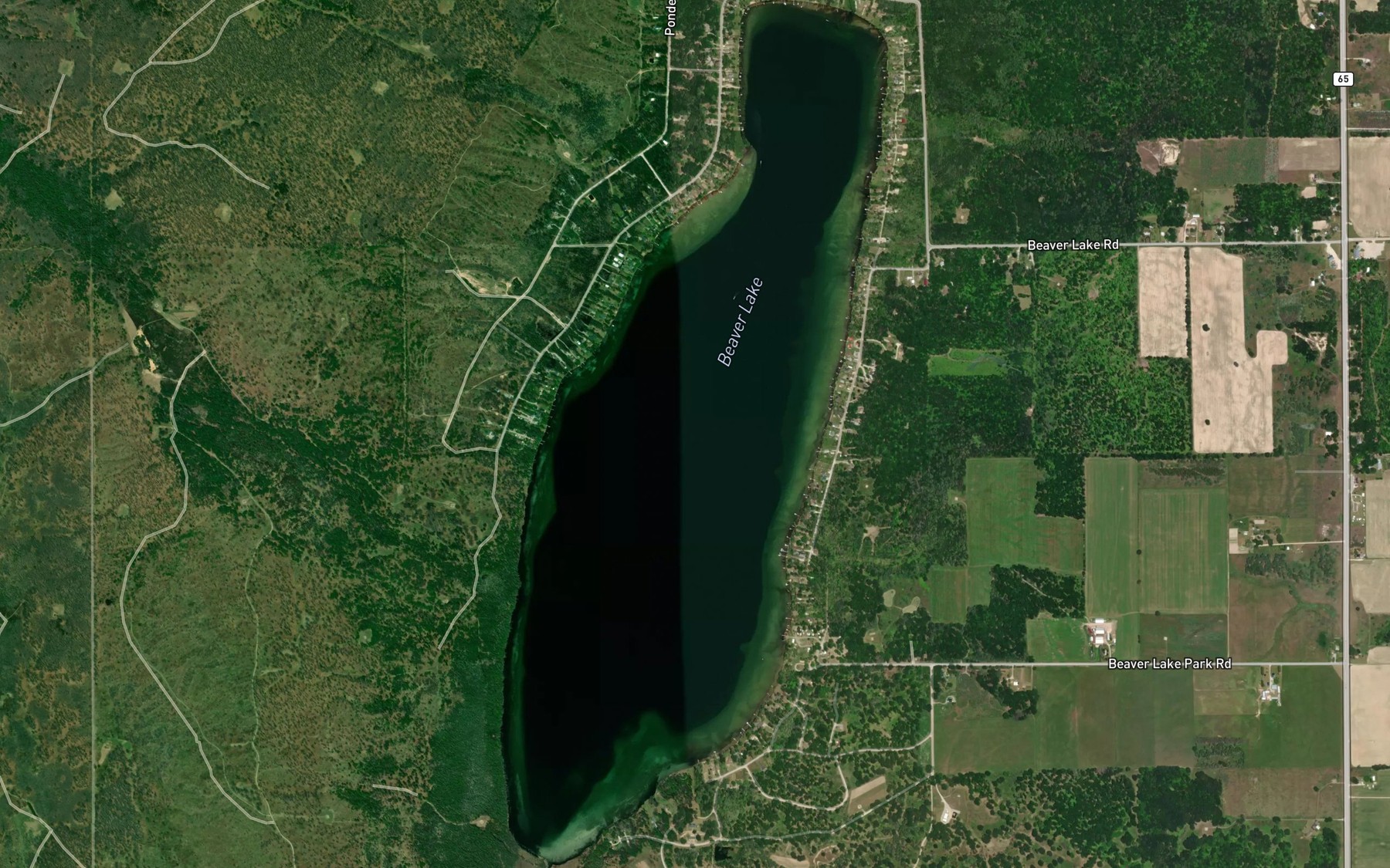 Satellite map of the Beaver Lake