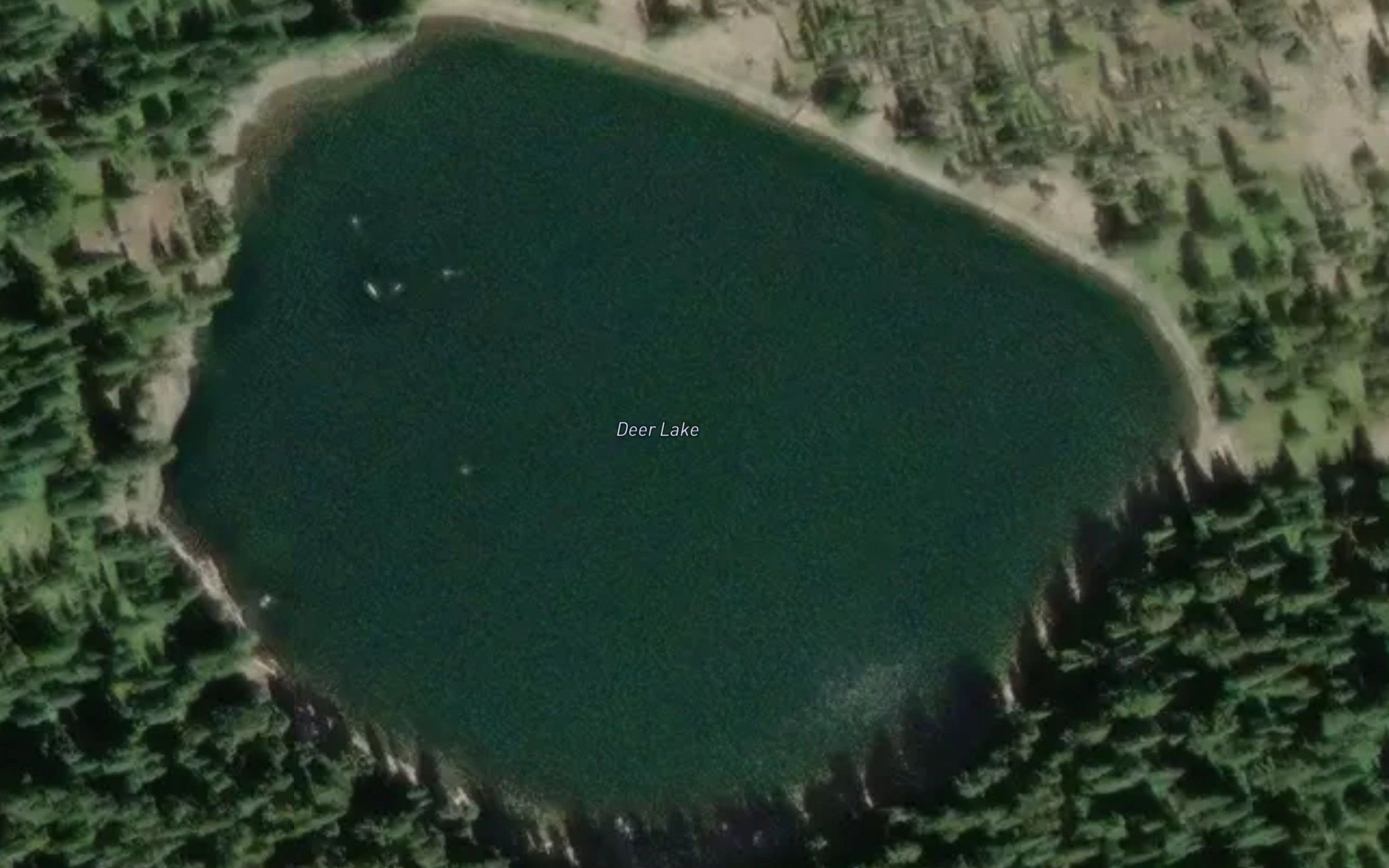 Deer Lake