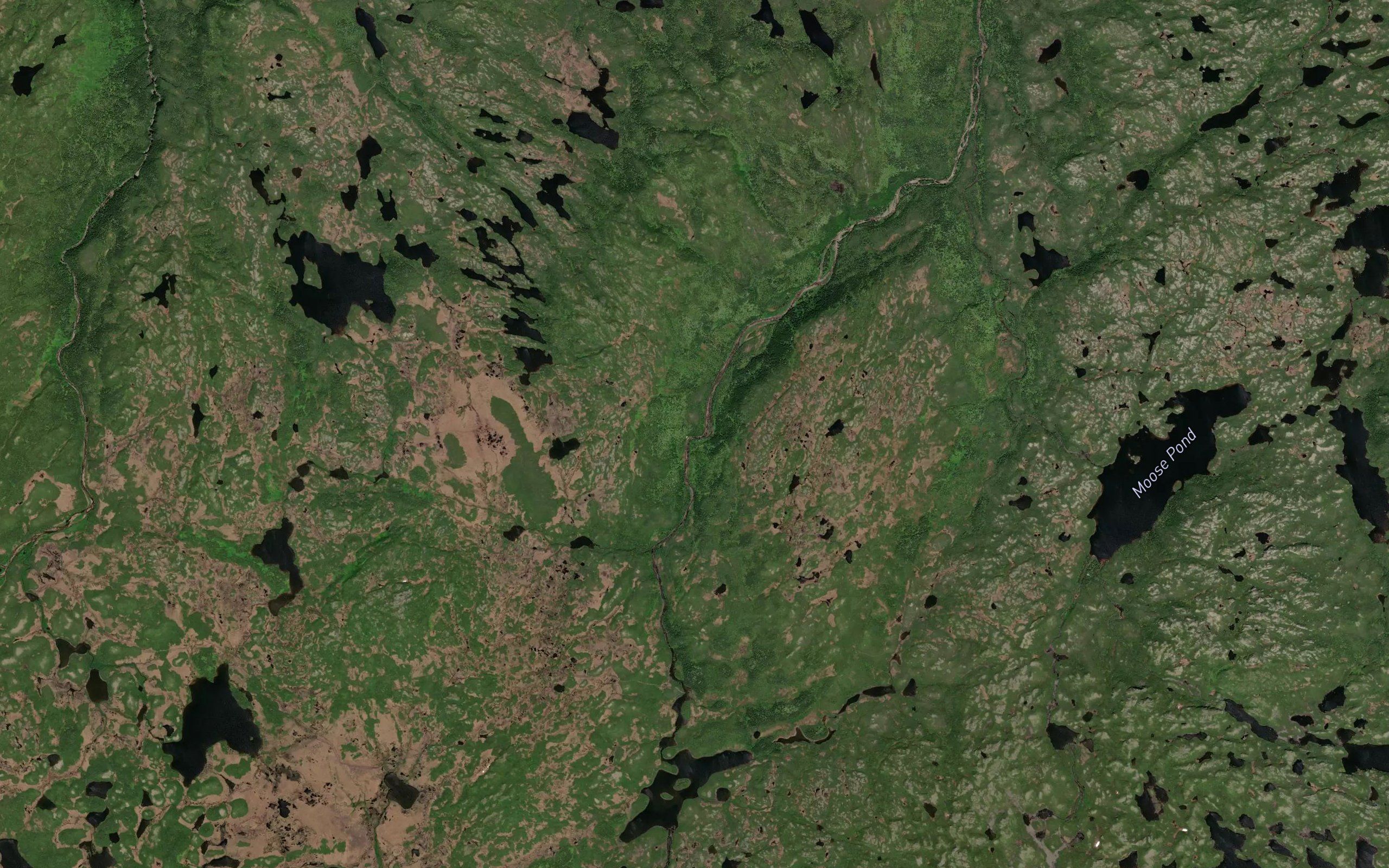 Doughball Pond