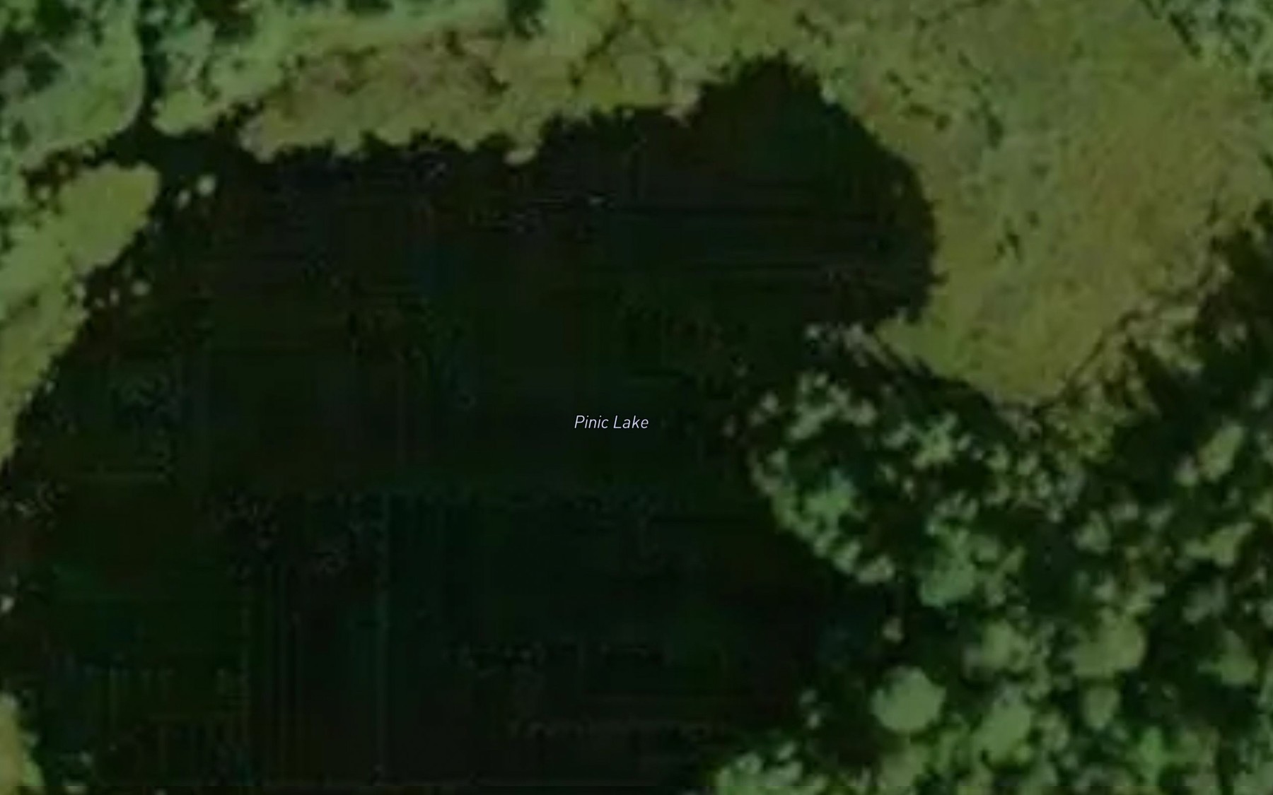 Satellite map of the Pinic Lake