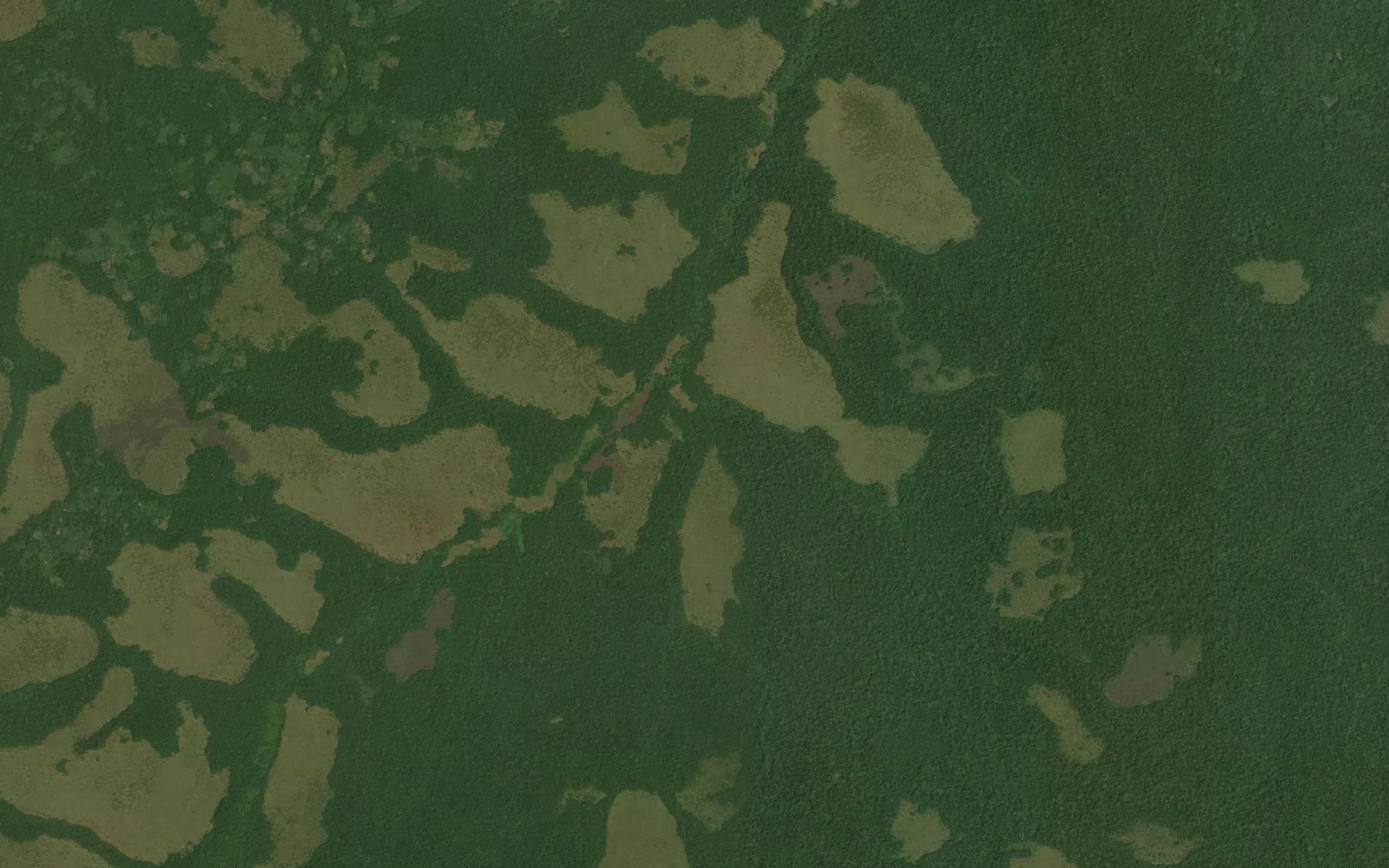 Edebo