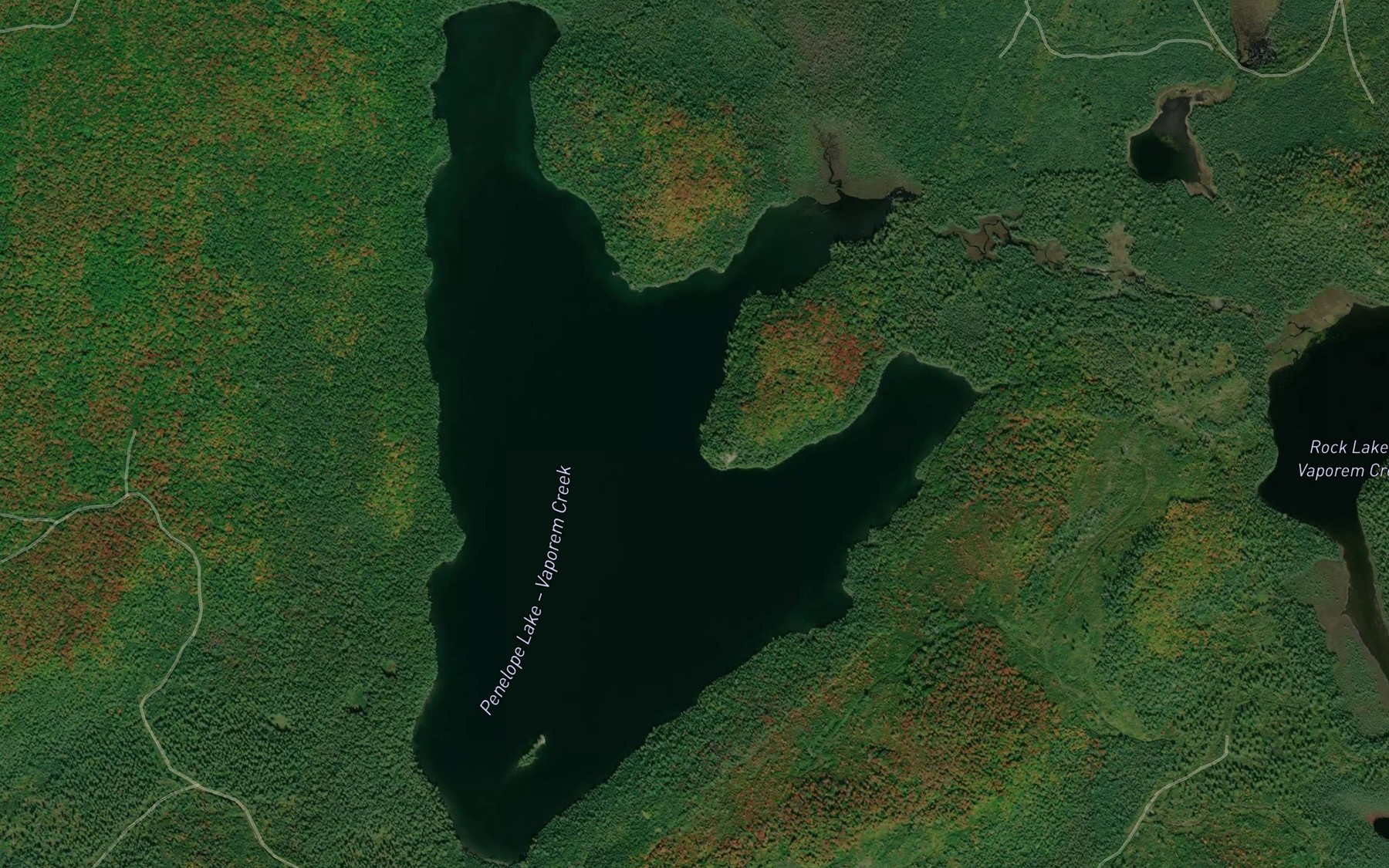 Satellite map of the Penelope Lake