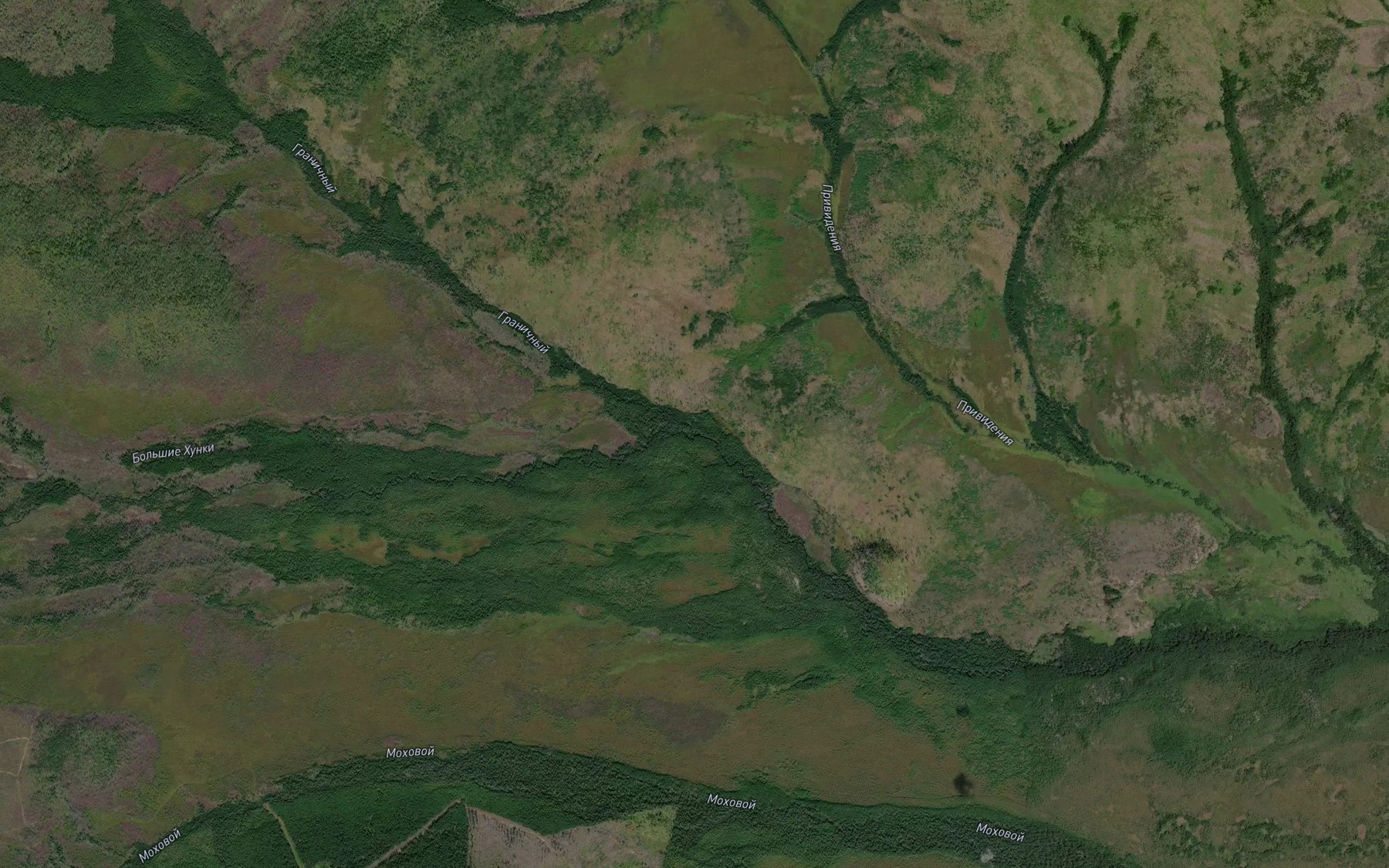 Satellite map of the Granichnyy
