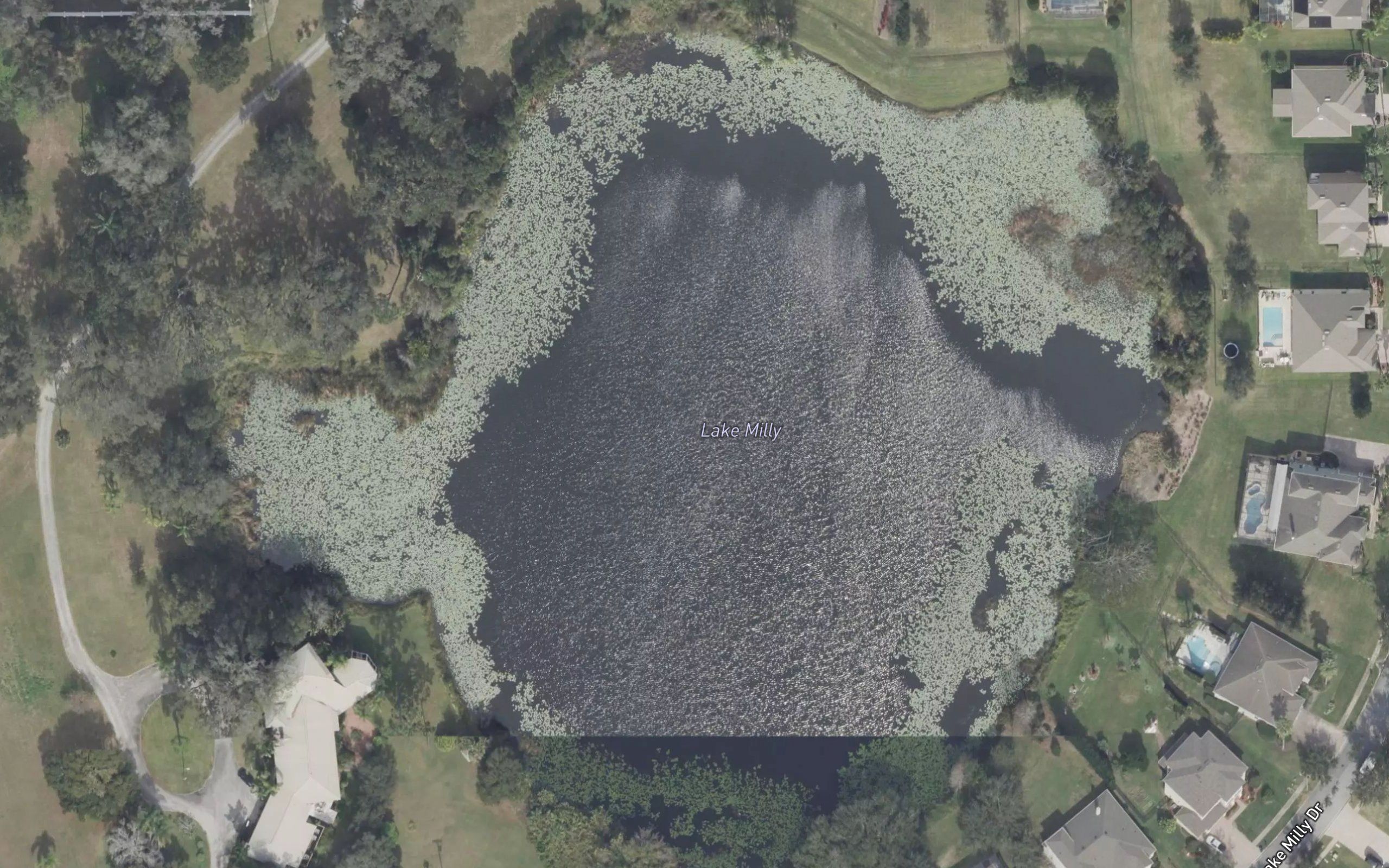 Milly Lake