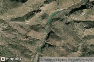 Turkey Gobbler Rapid