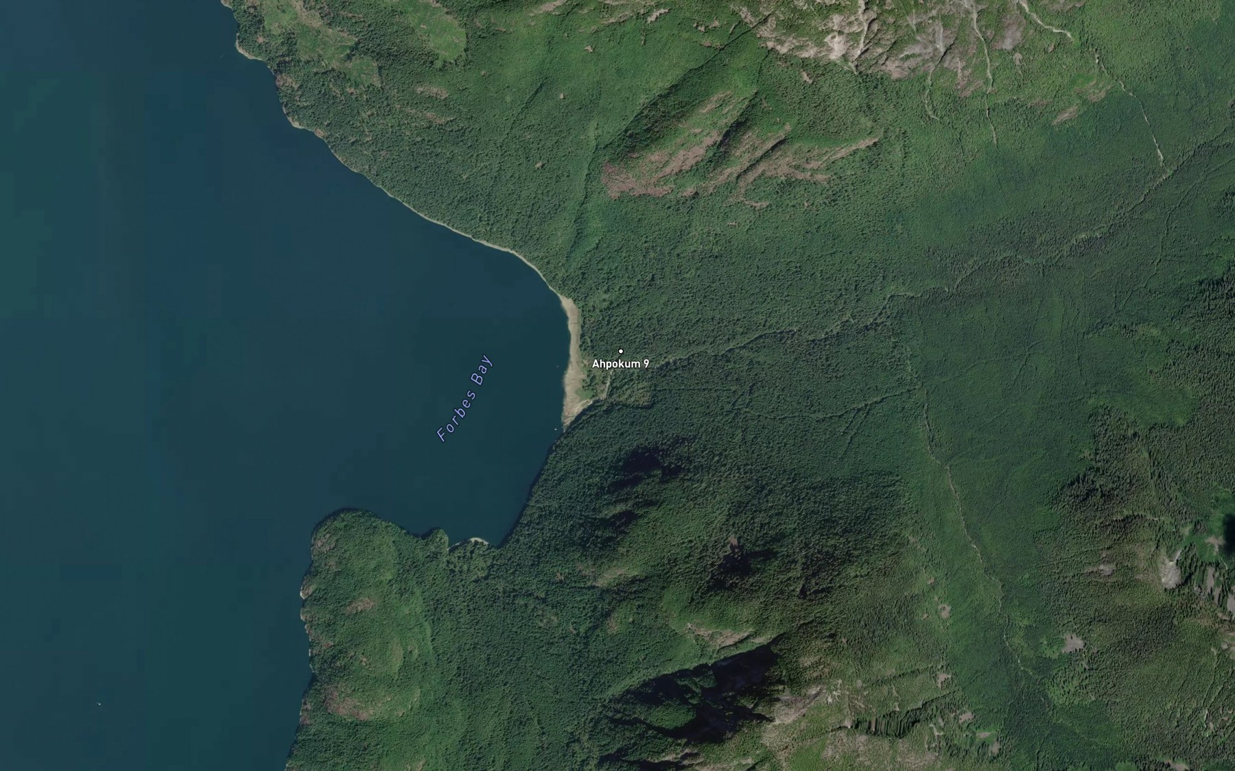 Satellite map of the Forbes Creek