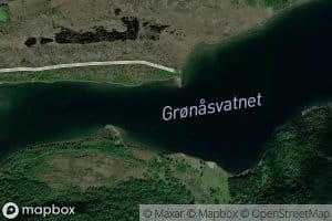 Gronasvatnet
