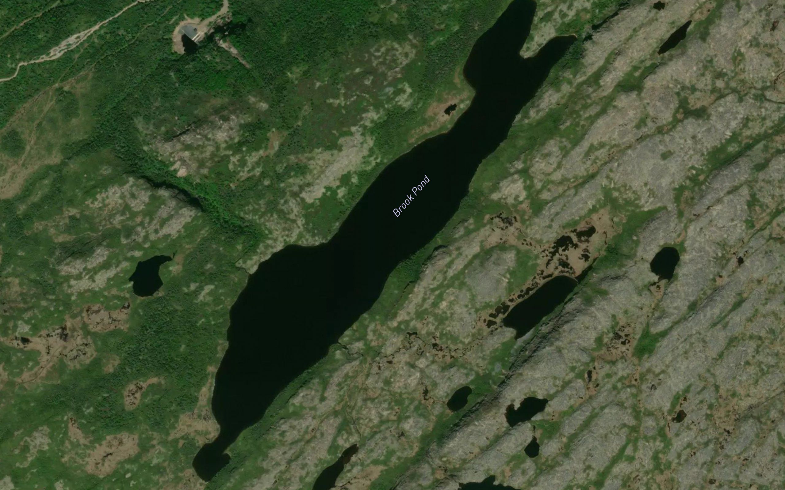 Brook Pond