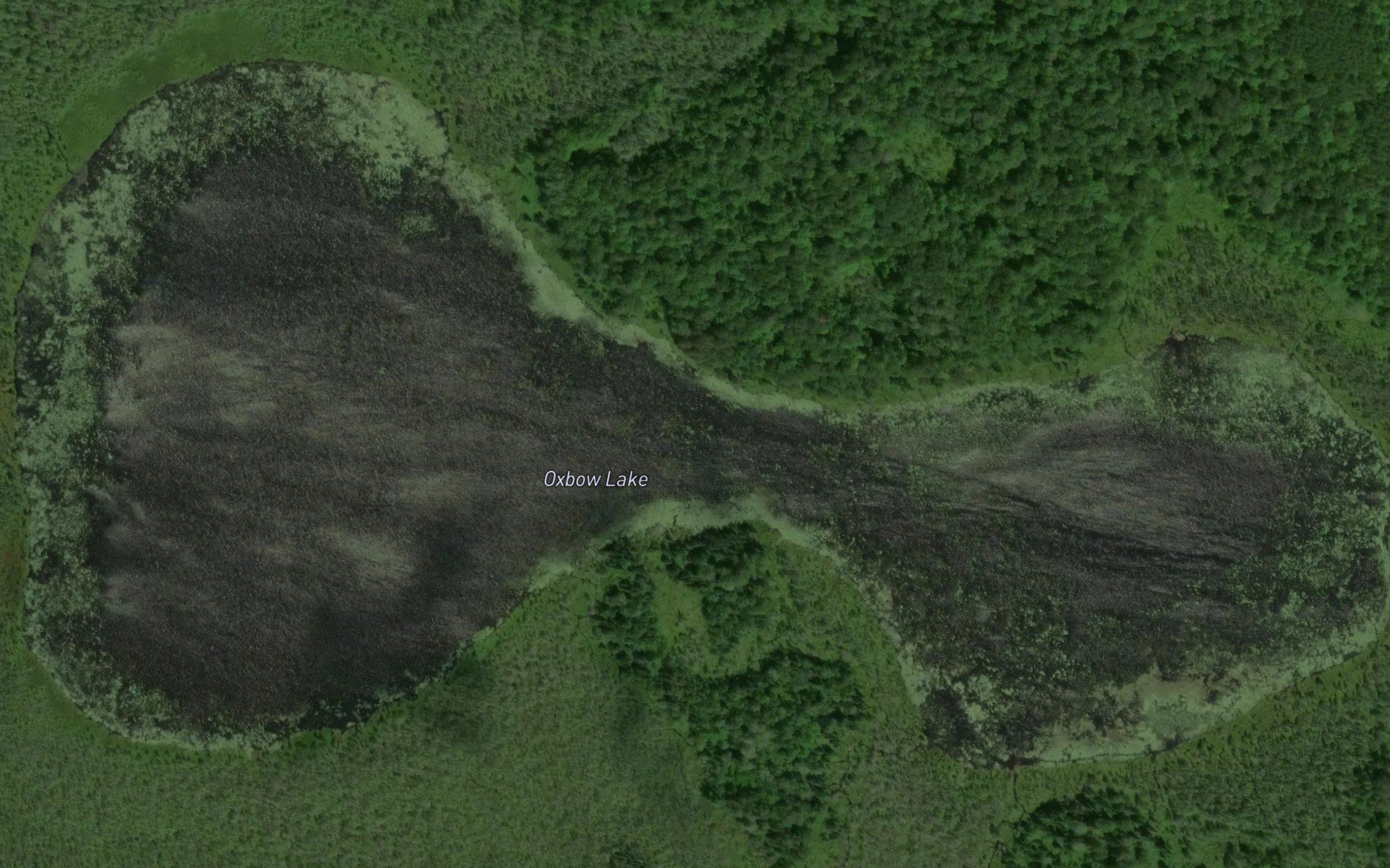 Oxbow Lake