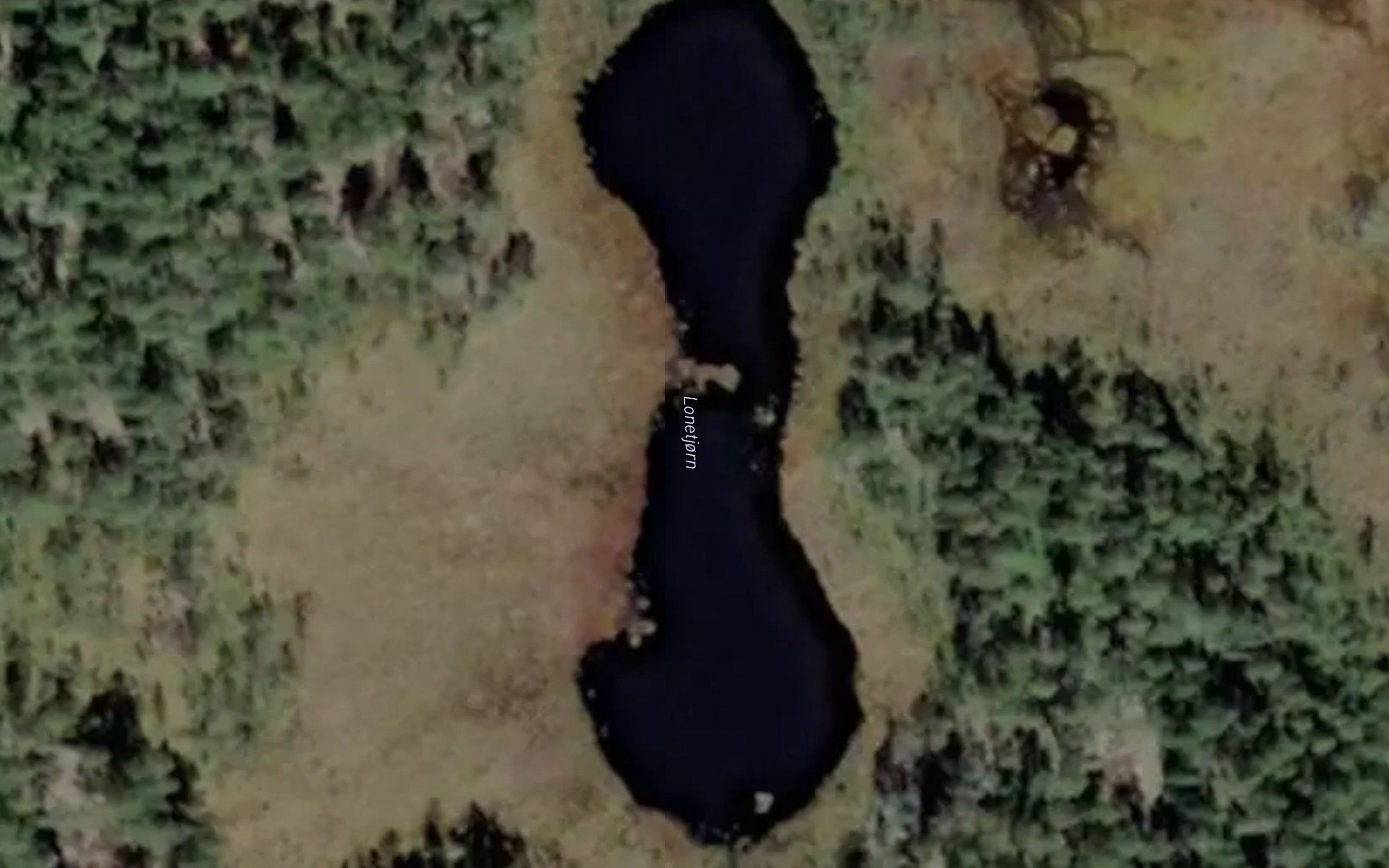 Lonetjorn