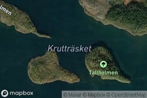 Kruttraesket