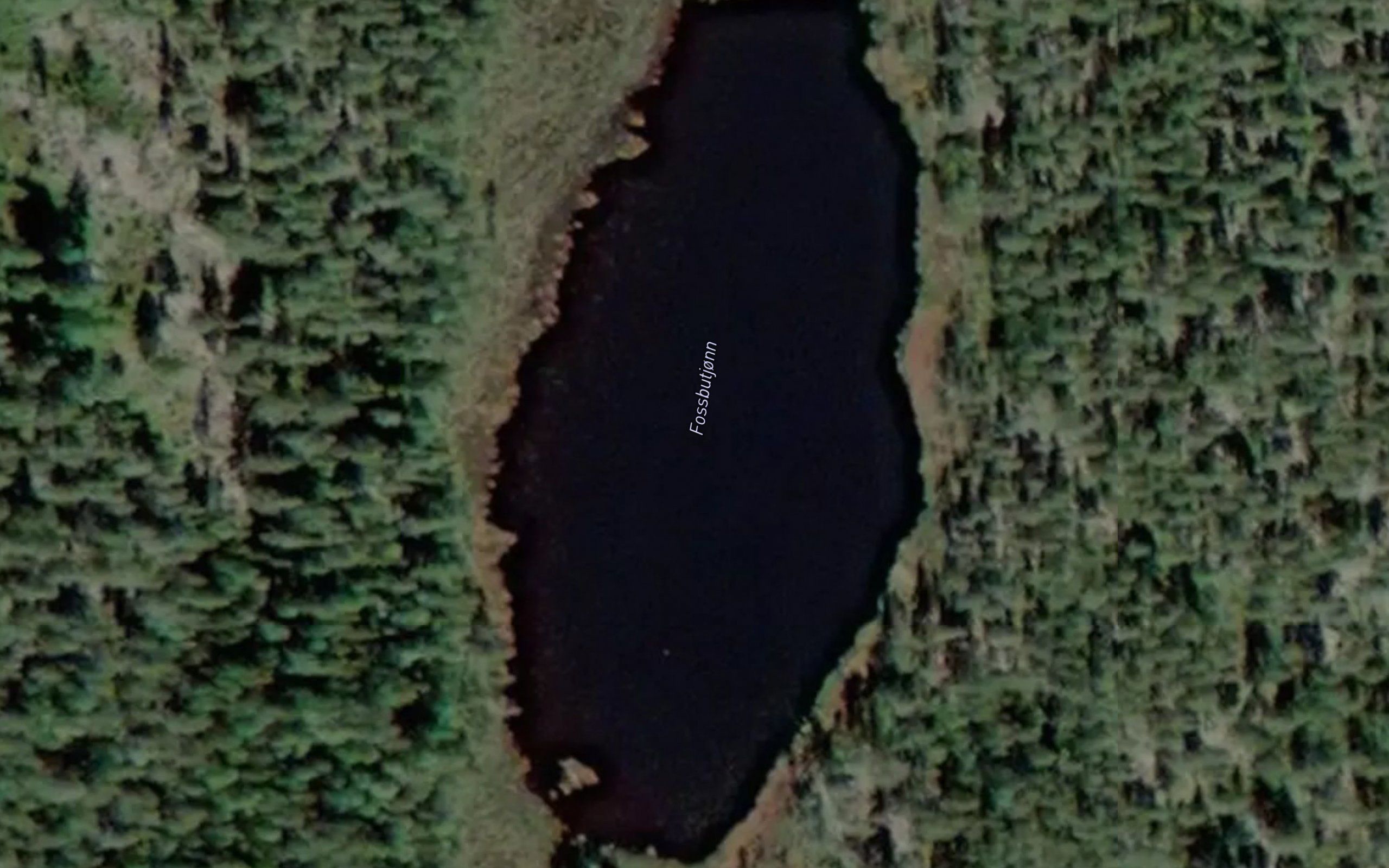 Fossbutjorn