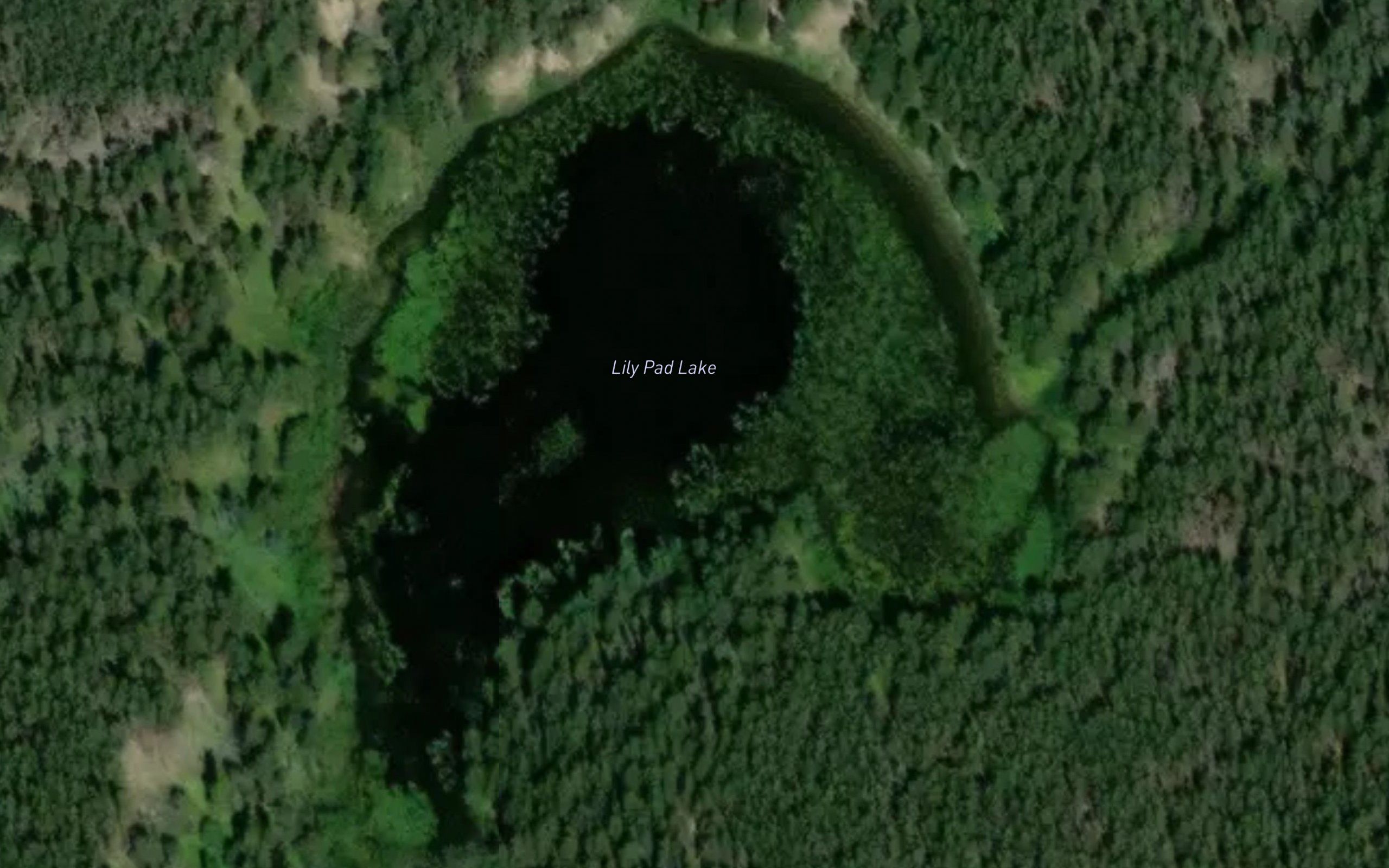 Lily Pad Lake