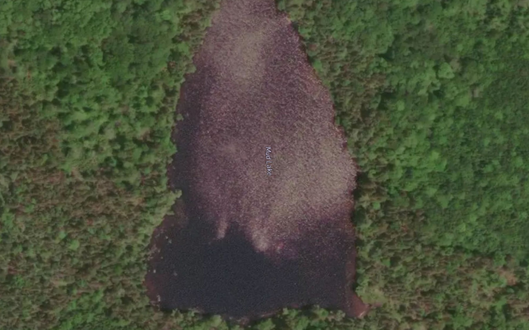 Satellite map of the Mud Lake
