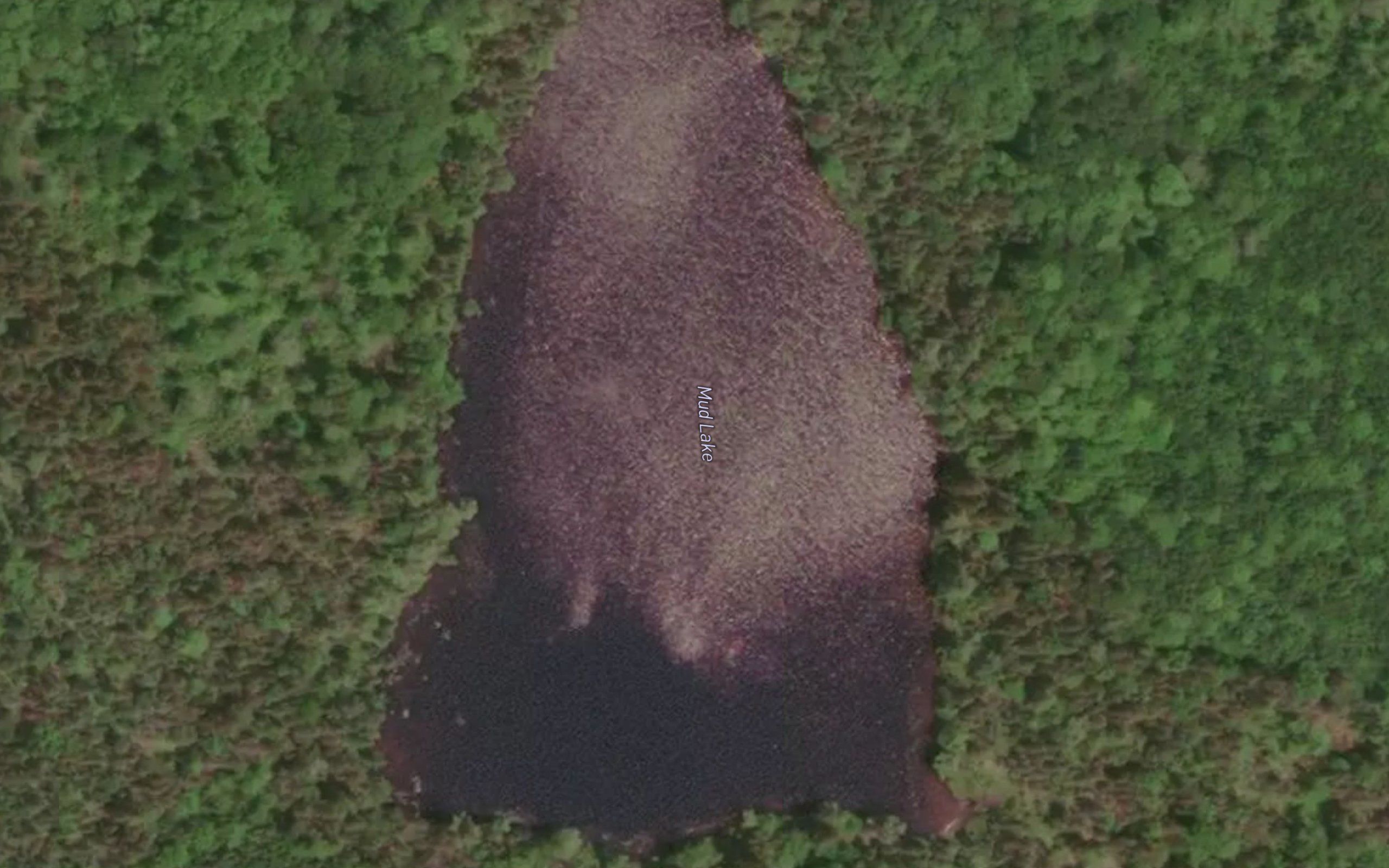 Mud Lake