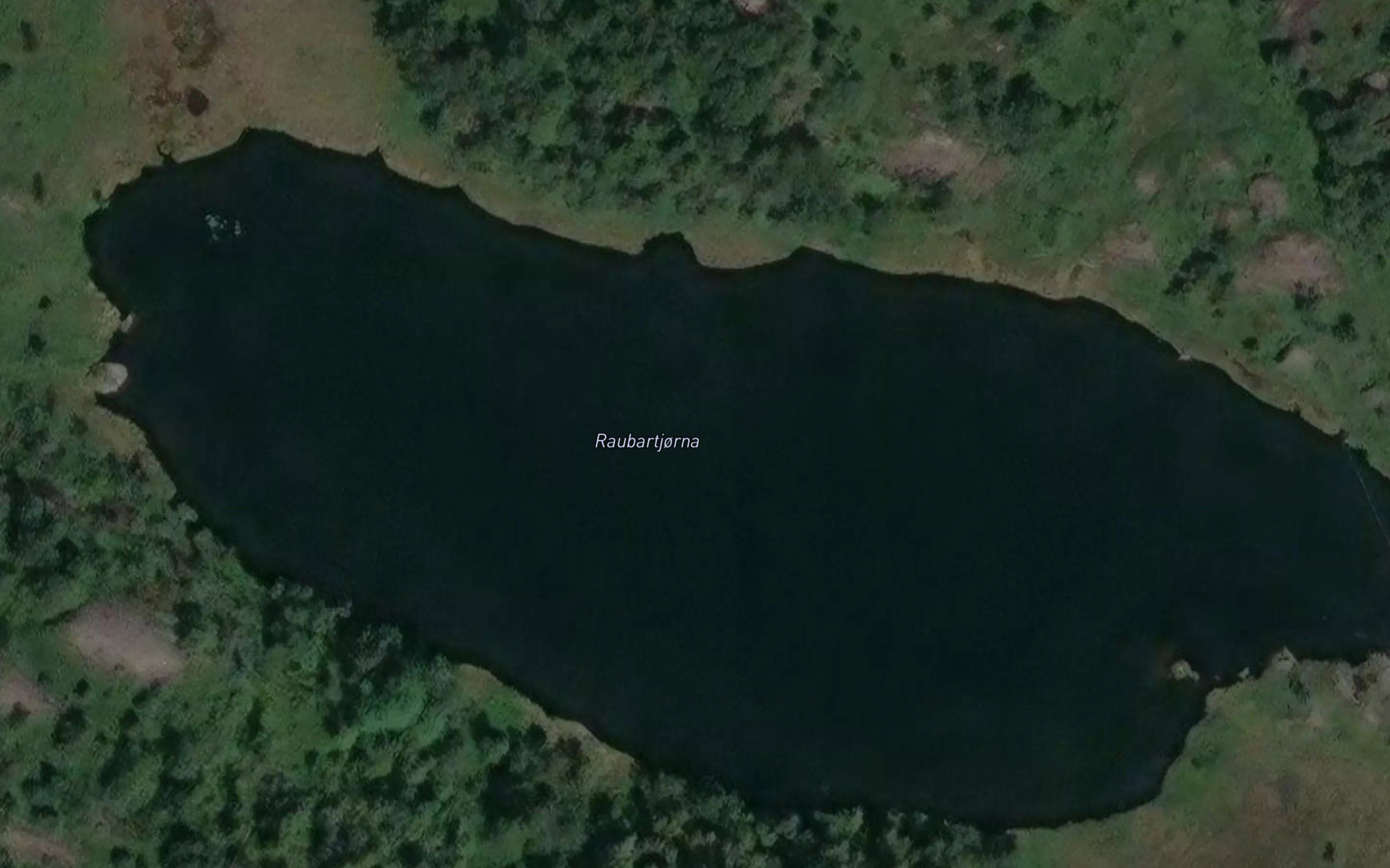Raubartjorna