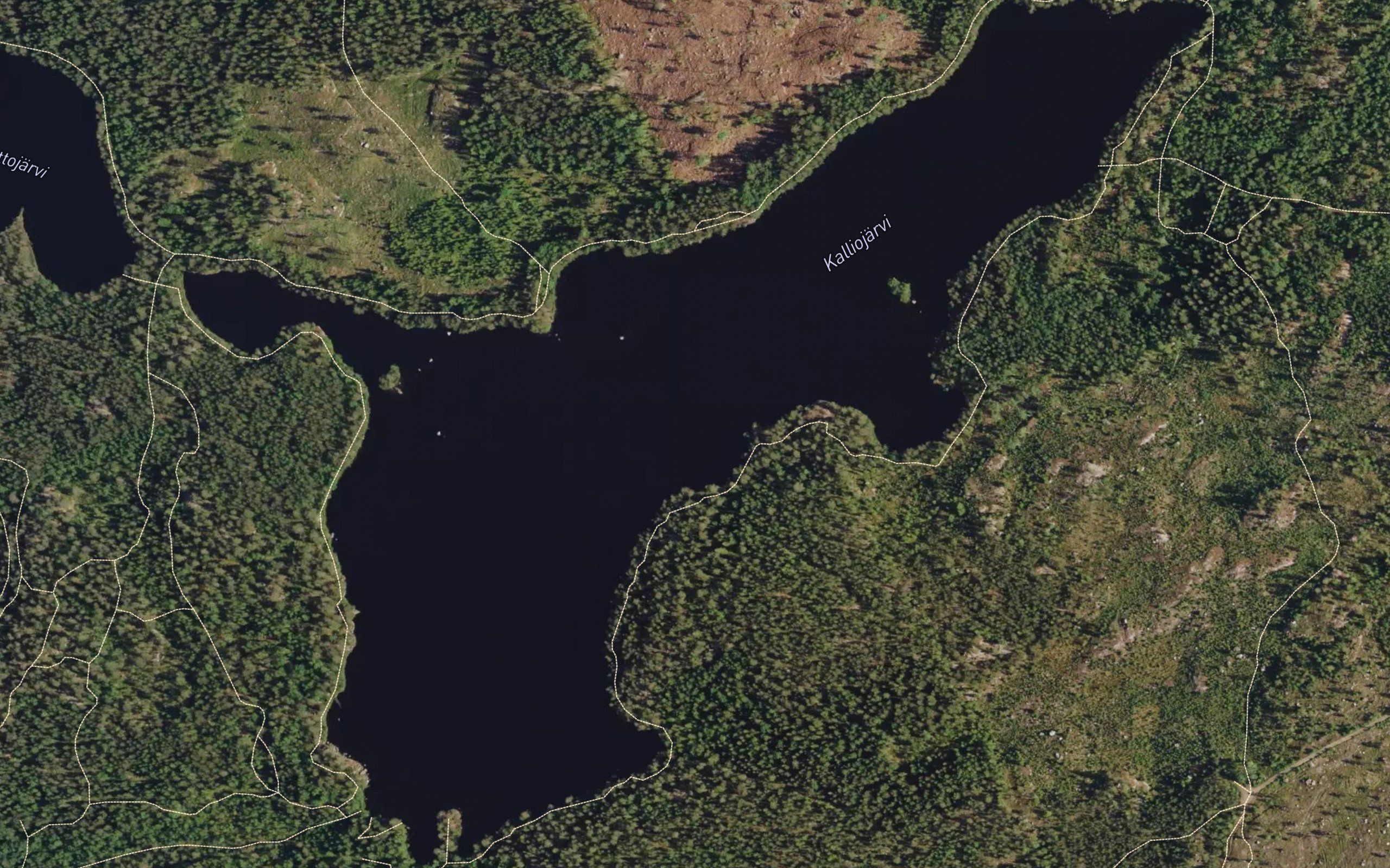 Kalliojarvi