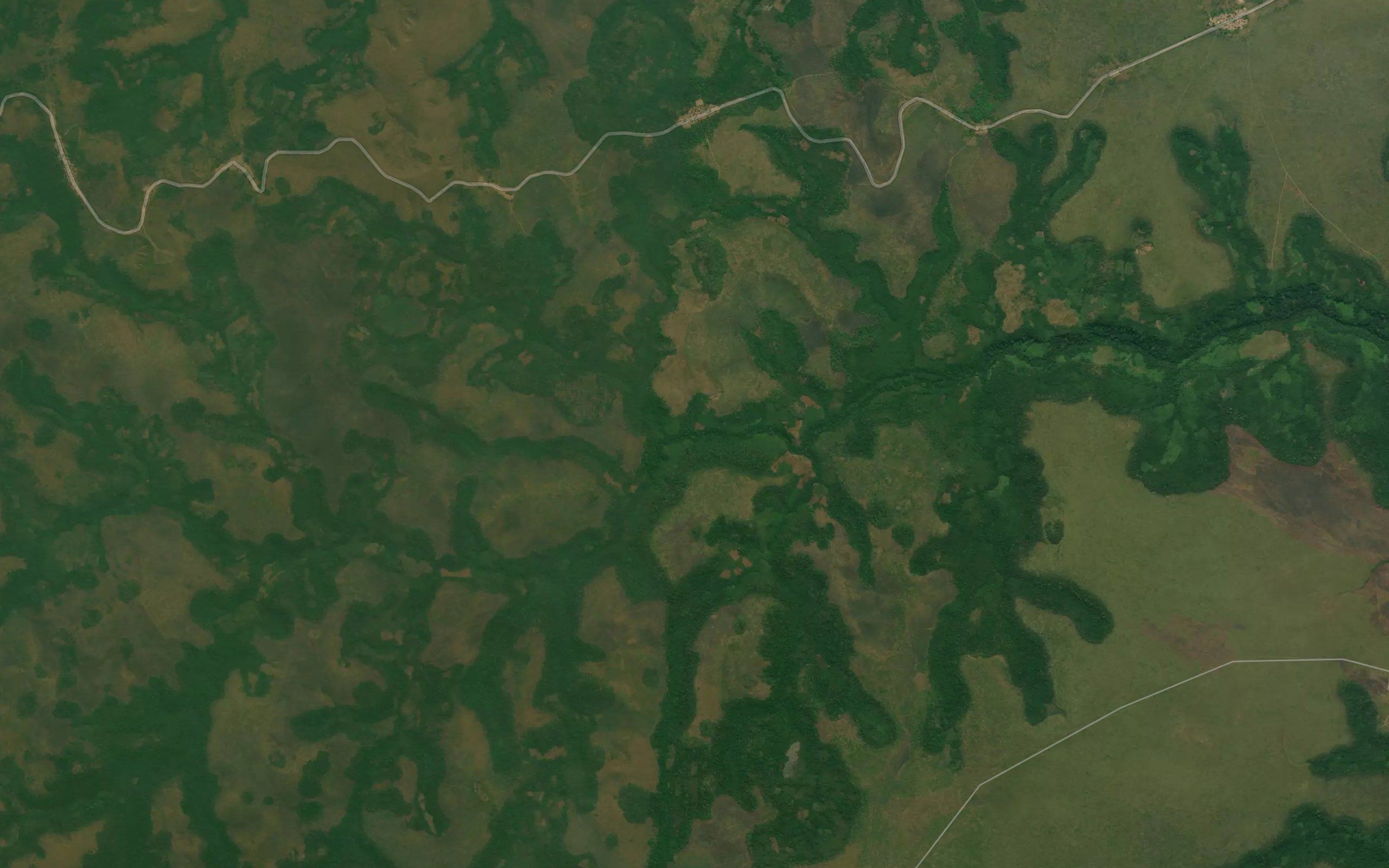 Veta