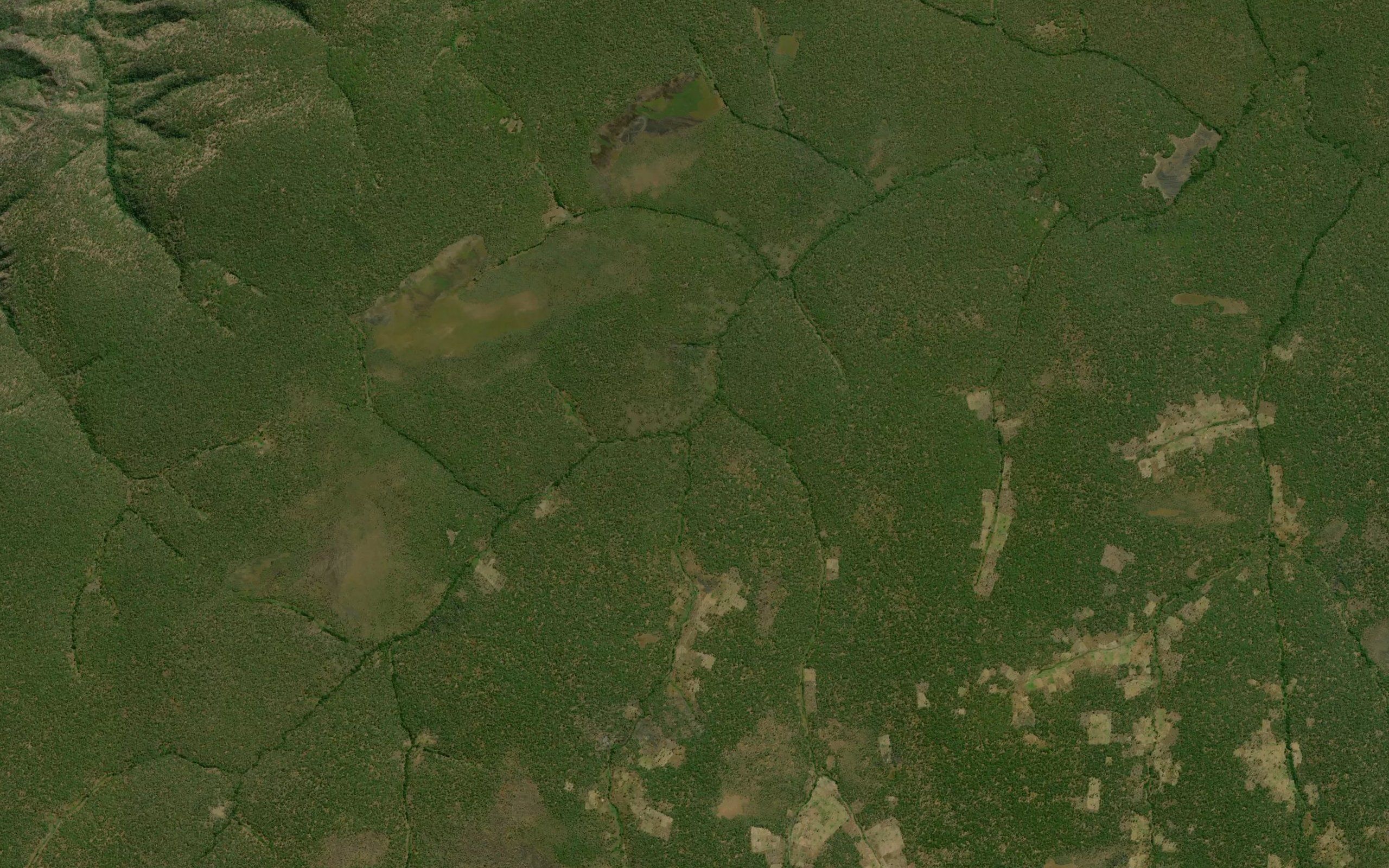 Kipango