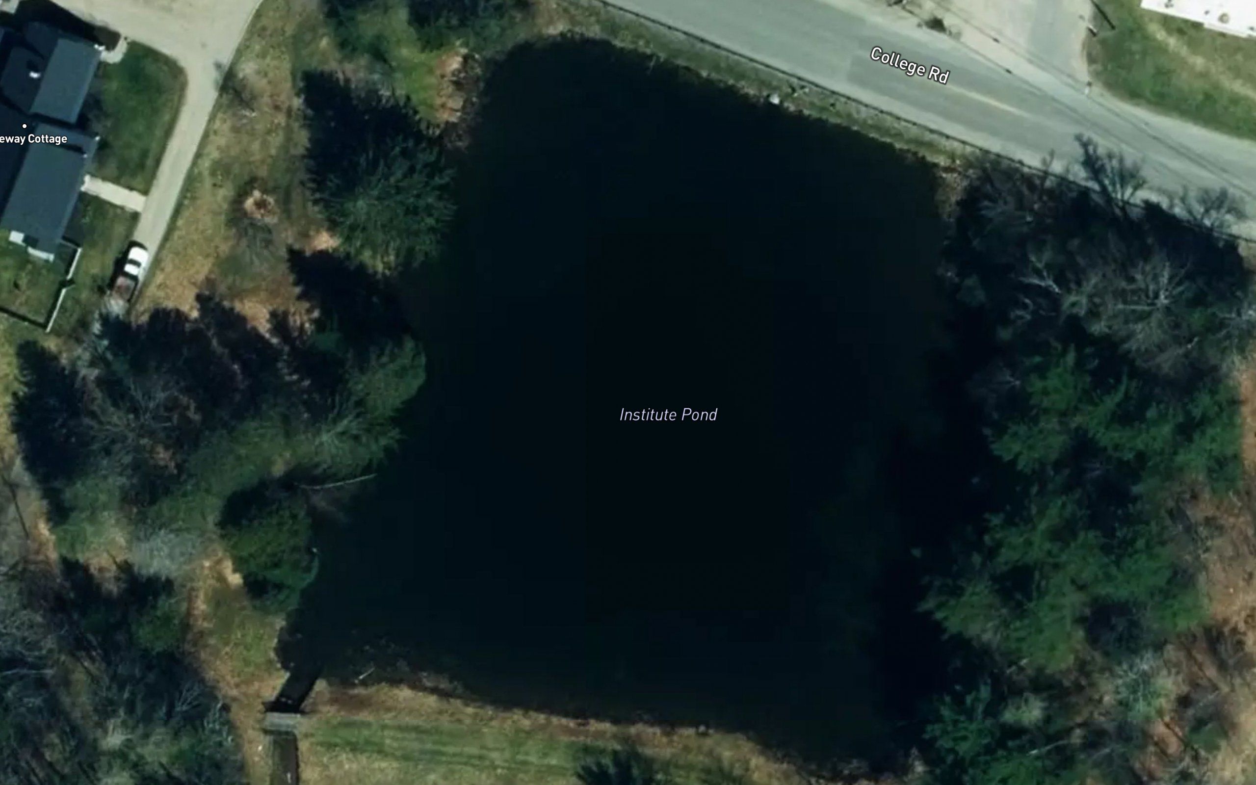 Institute Pond